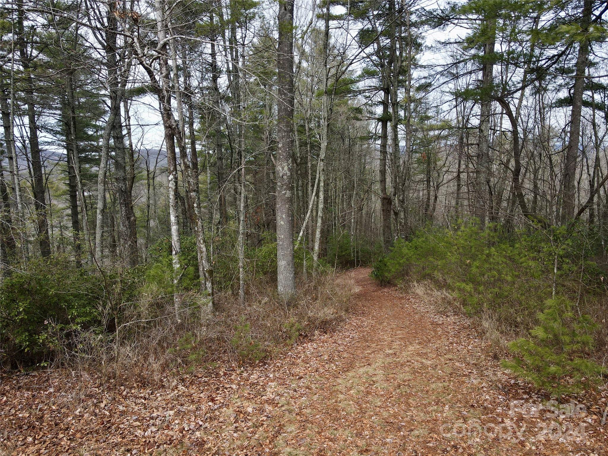 TBD Paul Mccoy Road