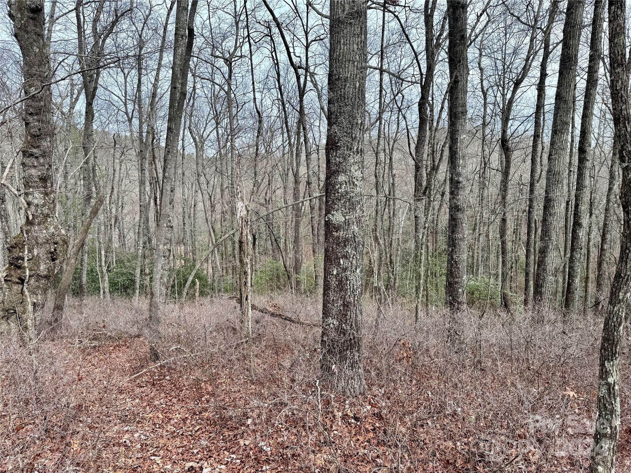 TBD Paul Mccoy Road