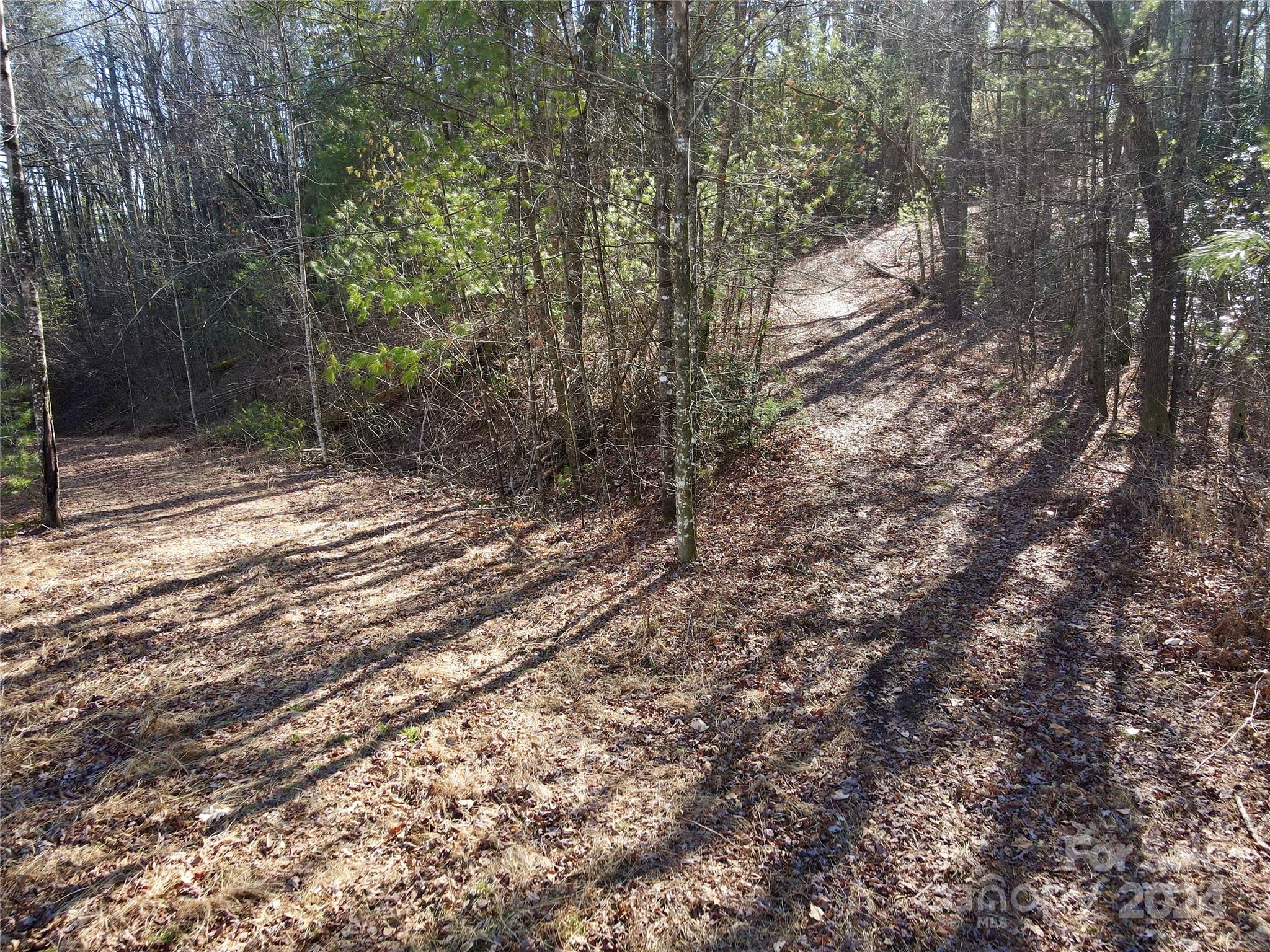 TBD Paul Mccoy Road
