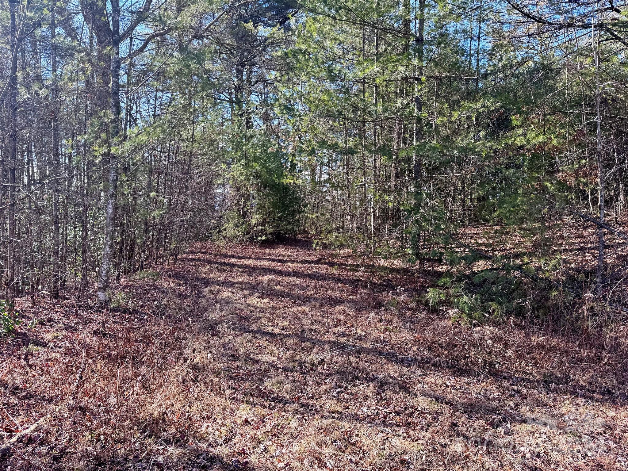 TBD Paul Mccoy Road