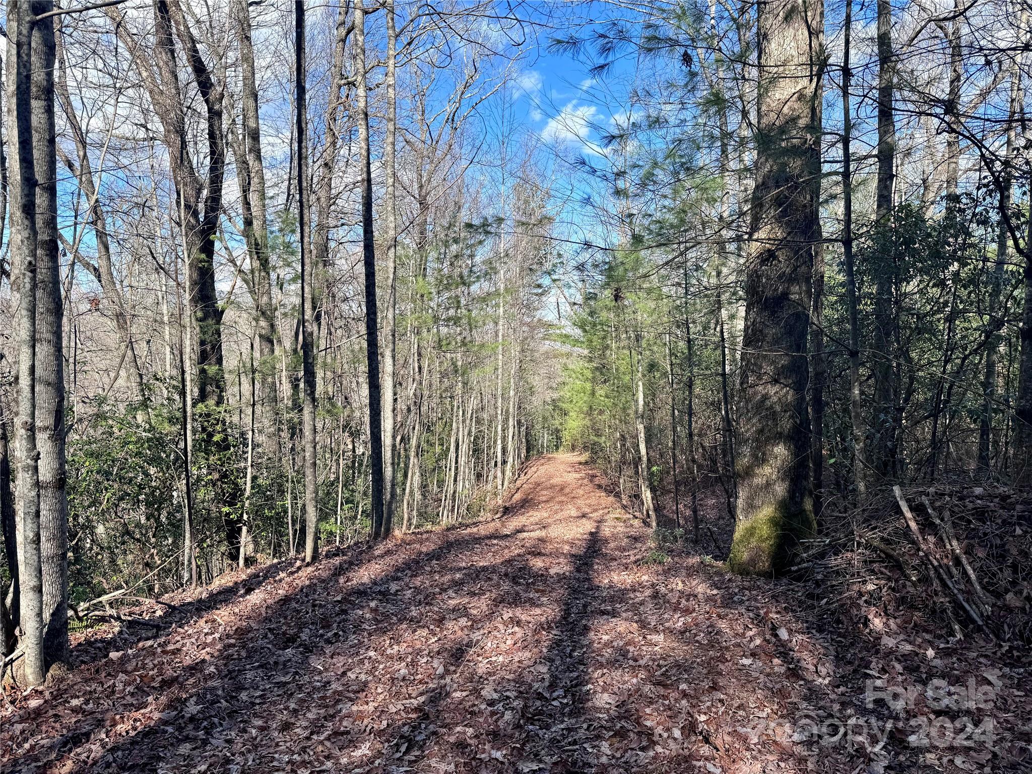 TBD Paul Mccoy Road