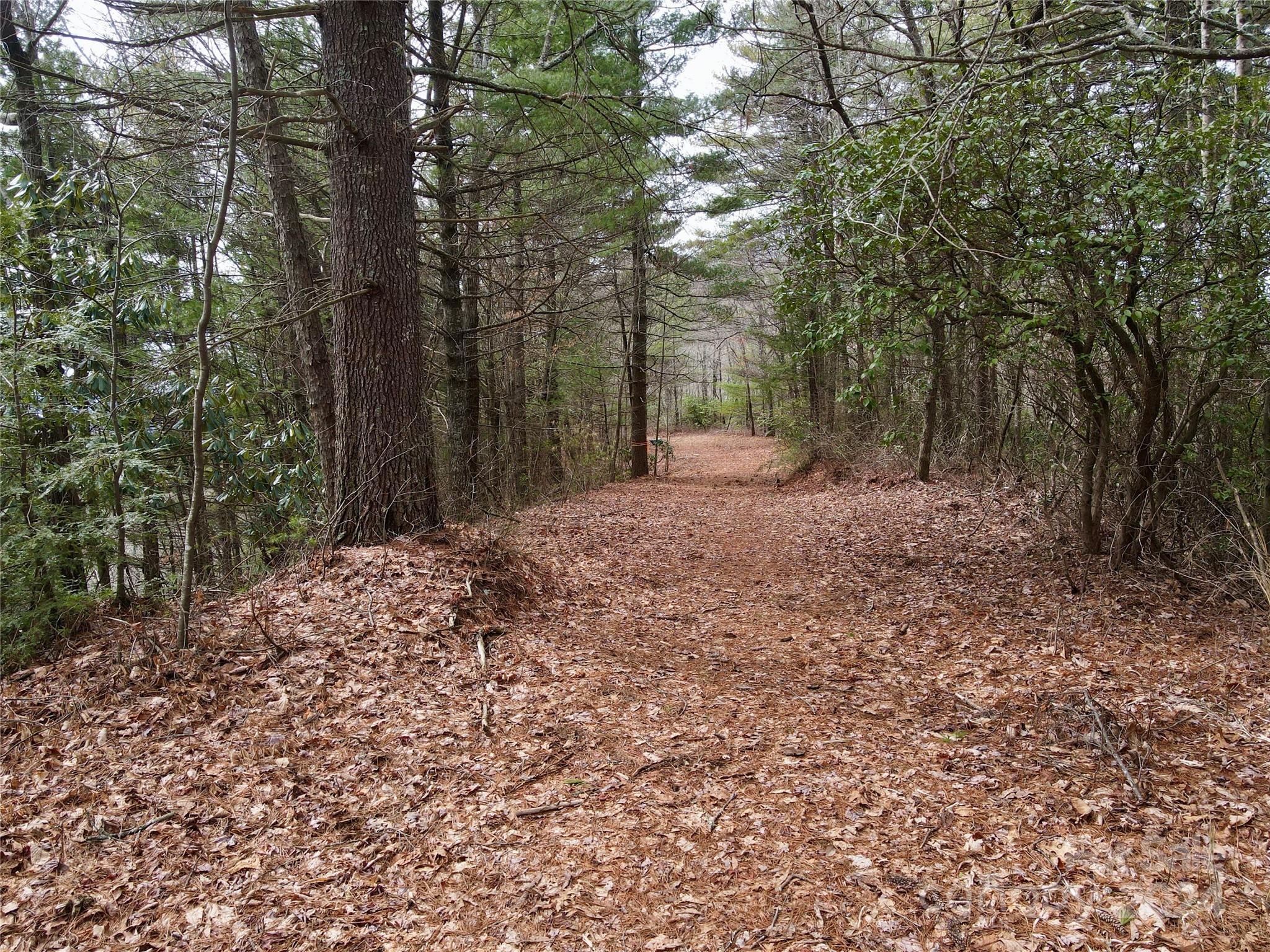TBD Paul Mccoy Road