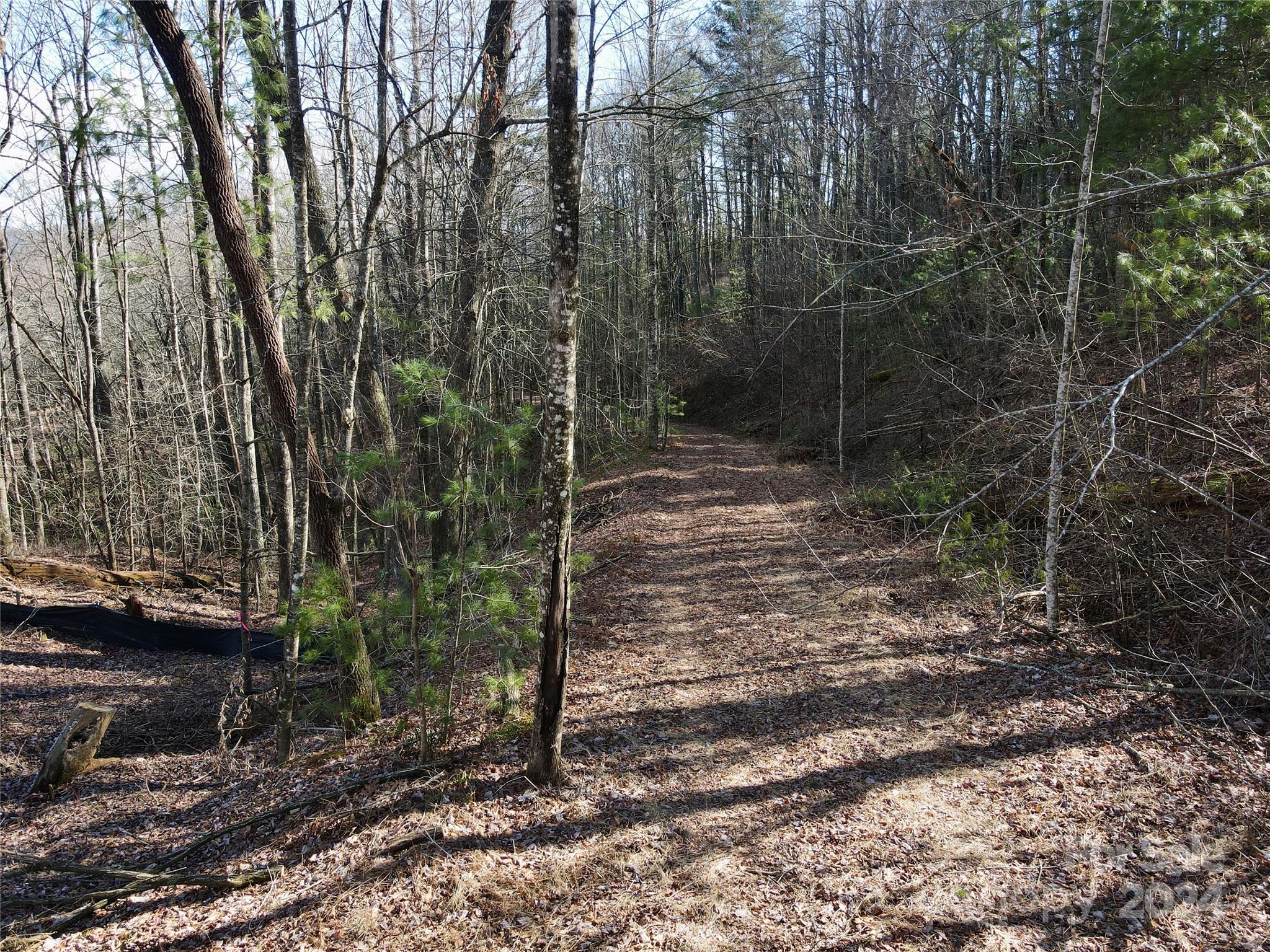 TBD Paul Mccoy Road