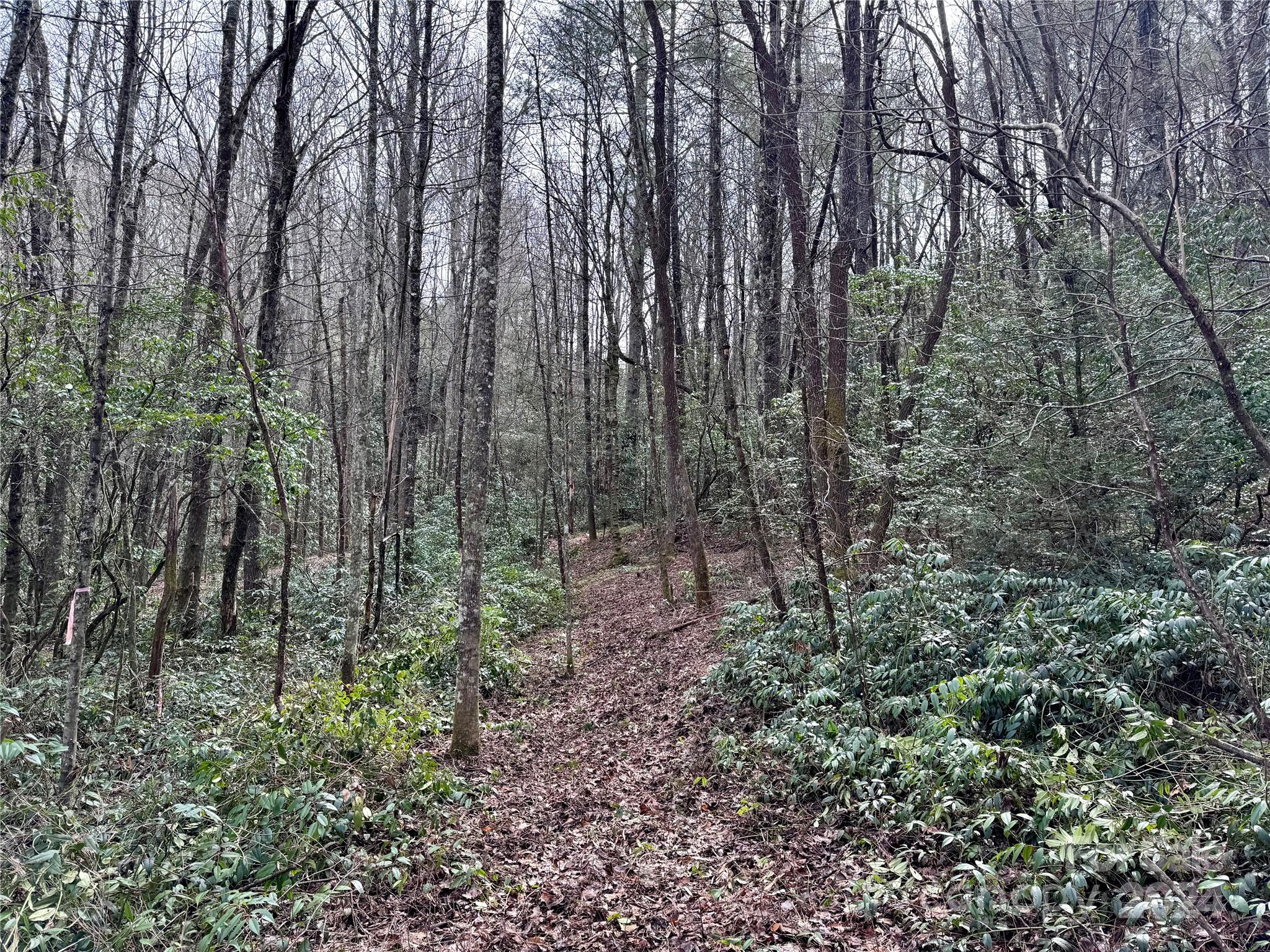 TBD Paul Mccoy Road