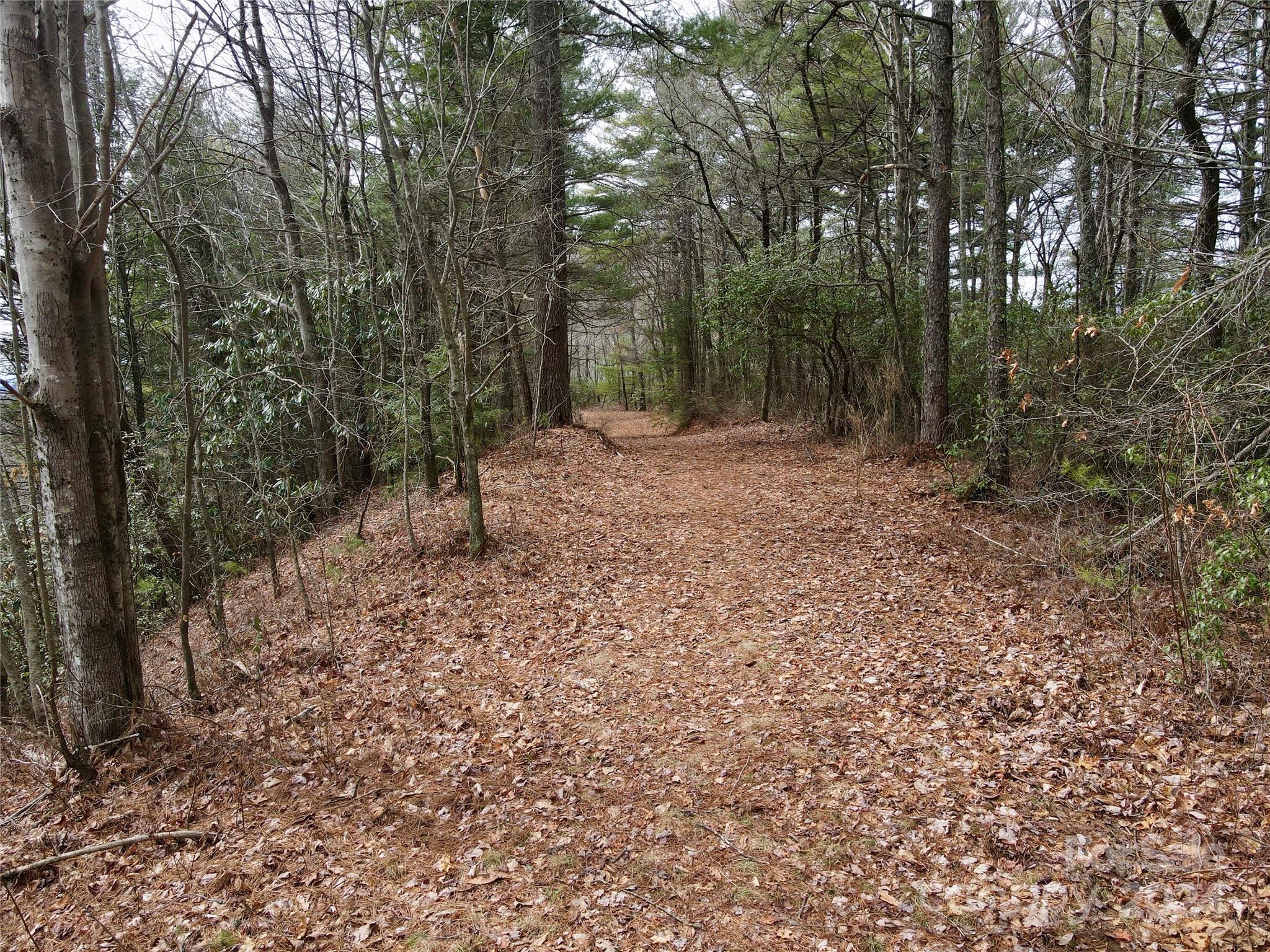 TBD Paul Mccoy Road