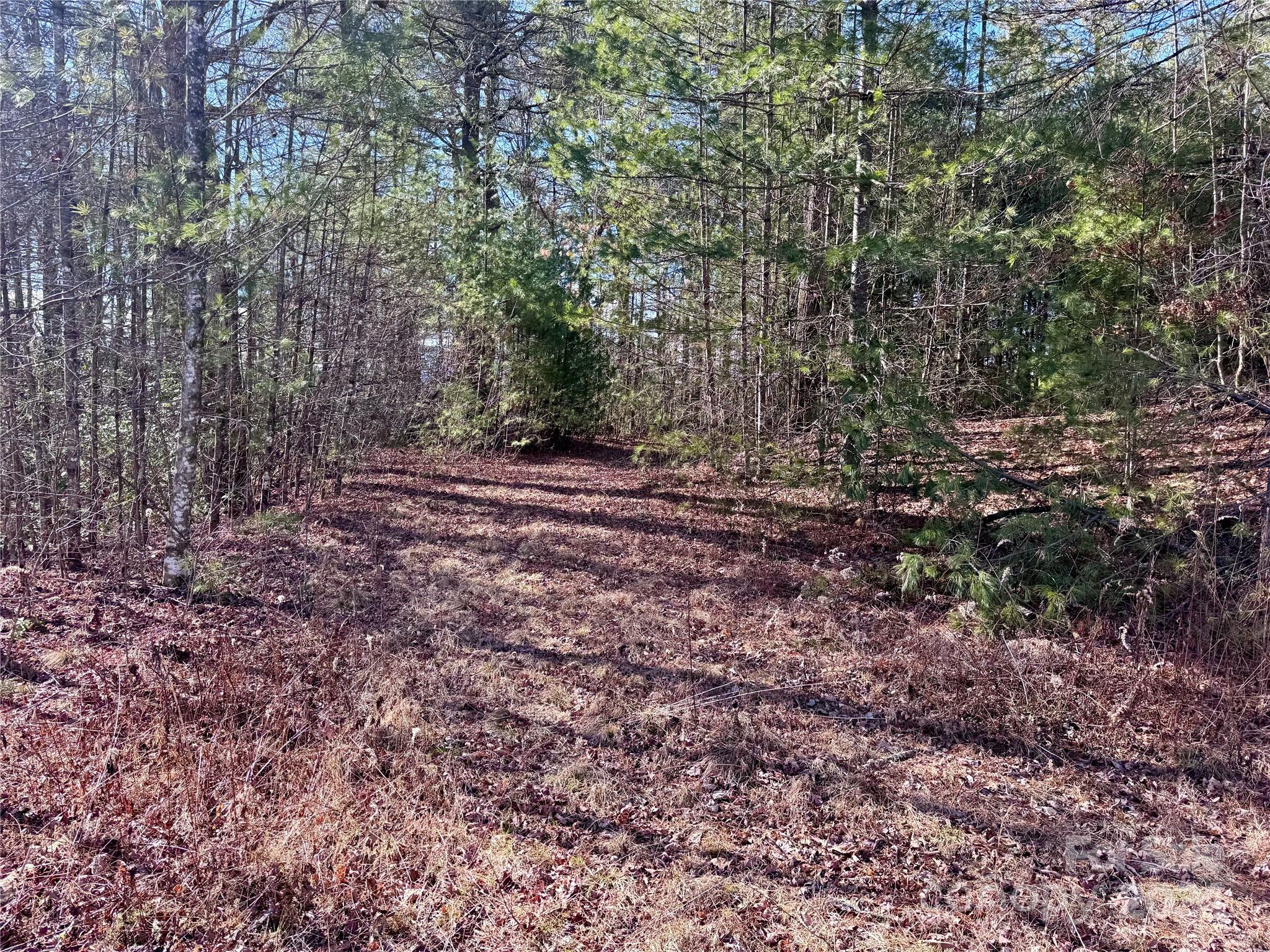 TBD Paul Mccoy Road