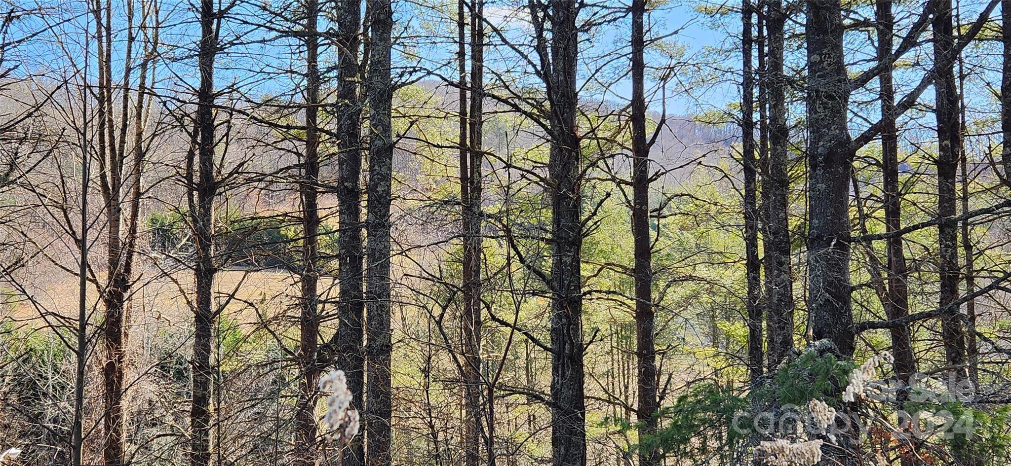 2592 Tanasee Gap Road