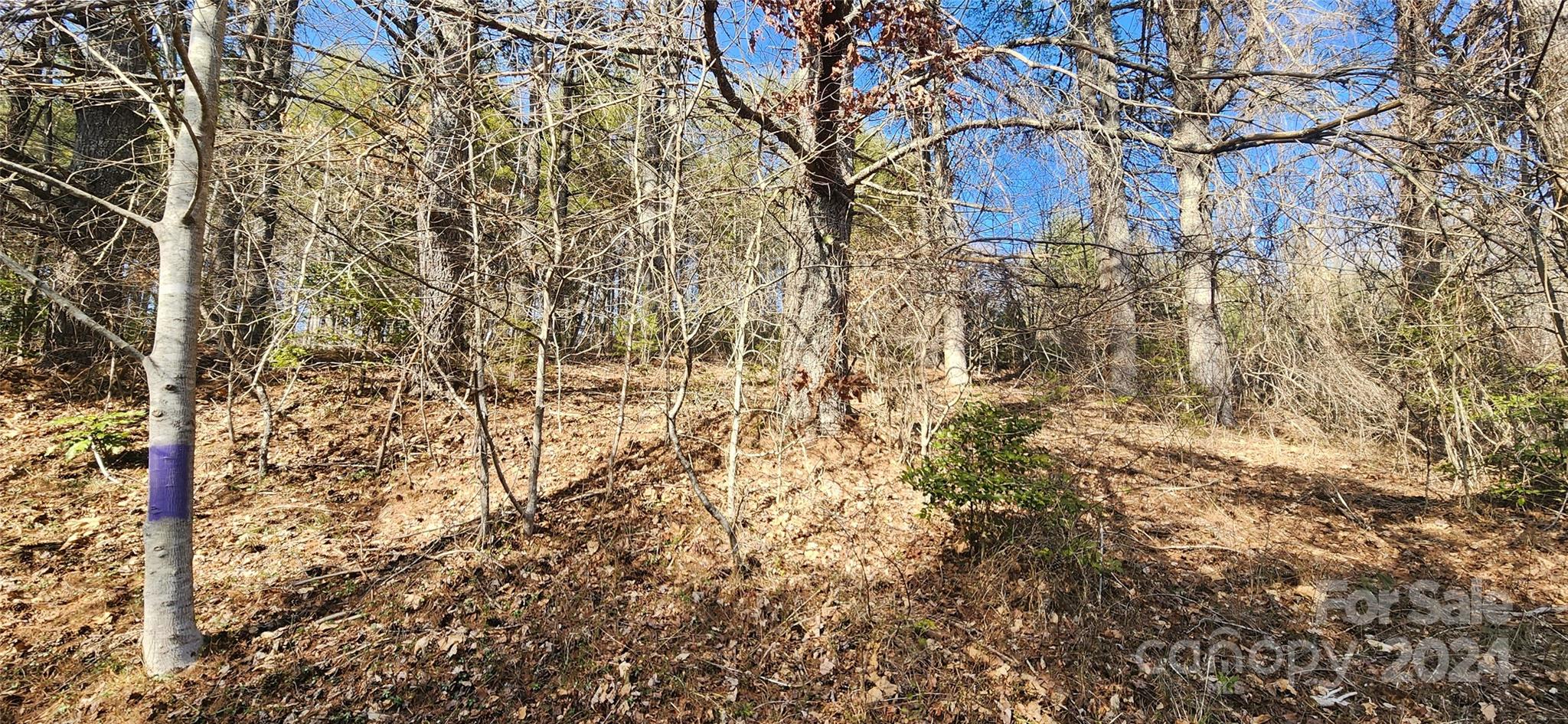 2592 Tanasee Gap Road