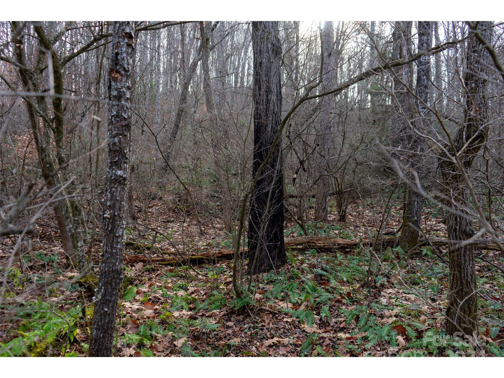 00 Long Branch Road