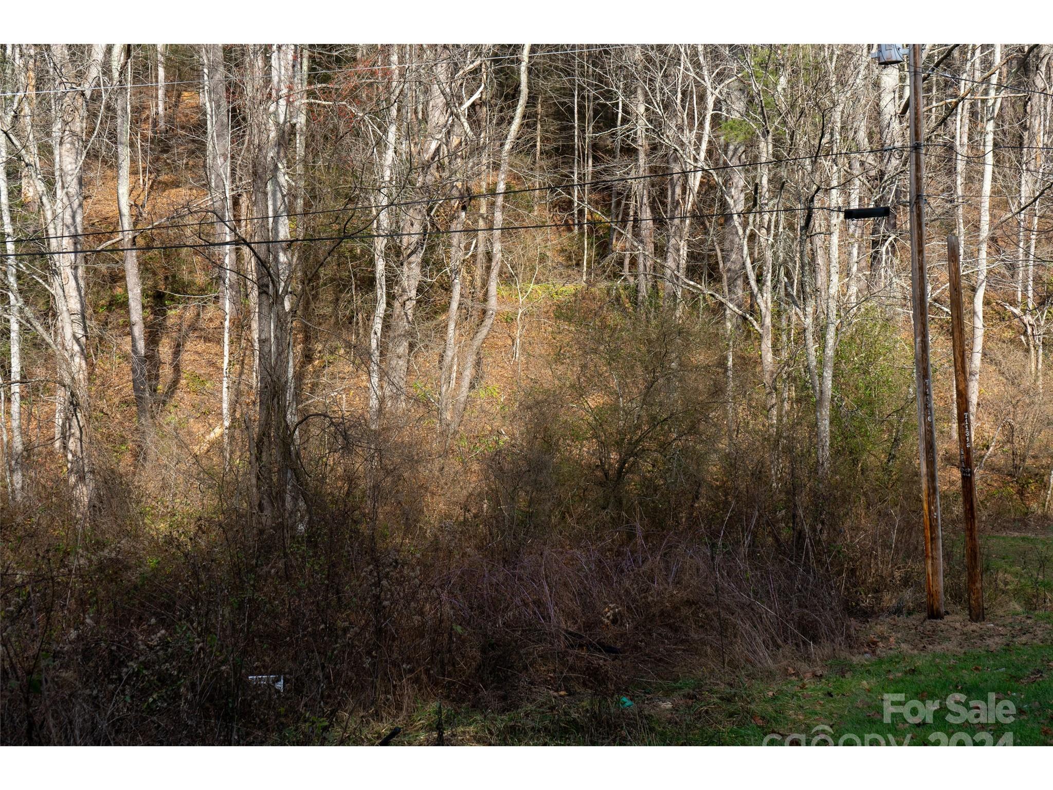 00 Long Branch Road