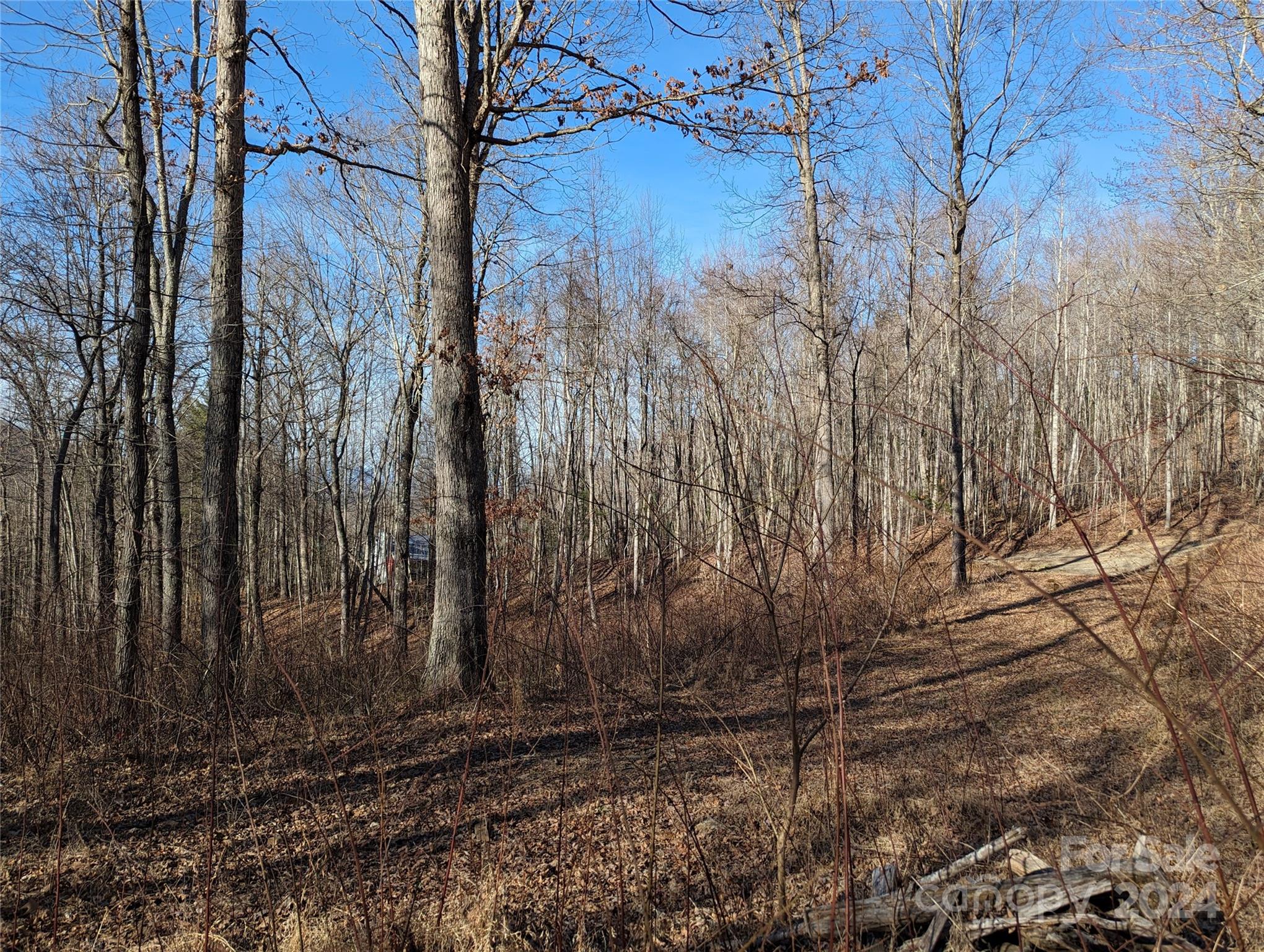 99999 High Top Mountain Road