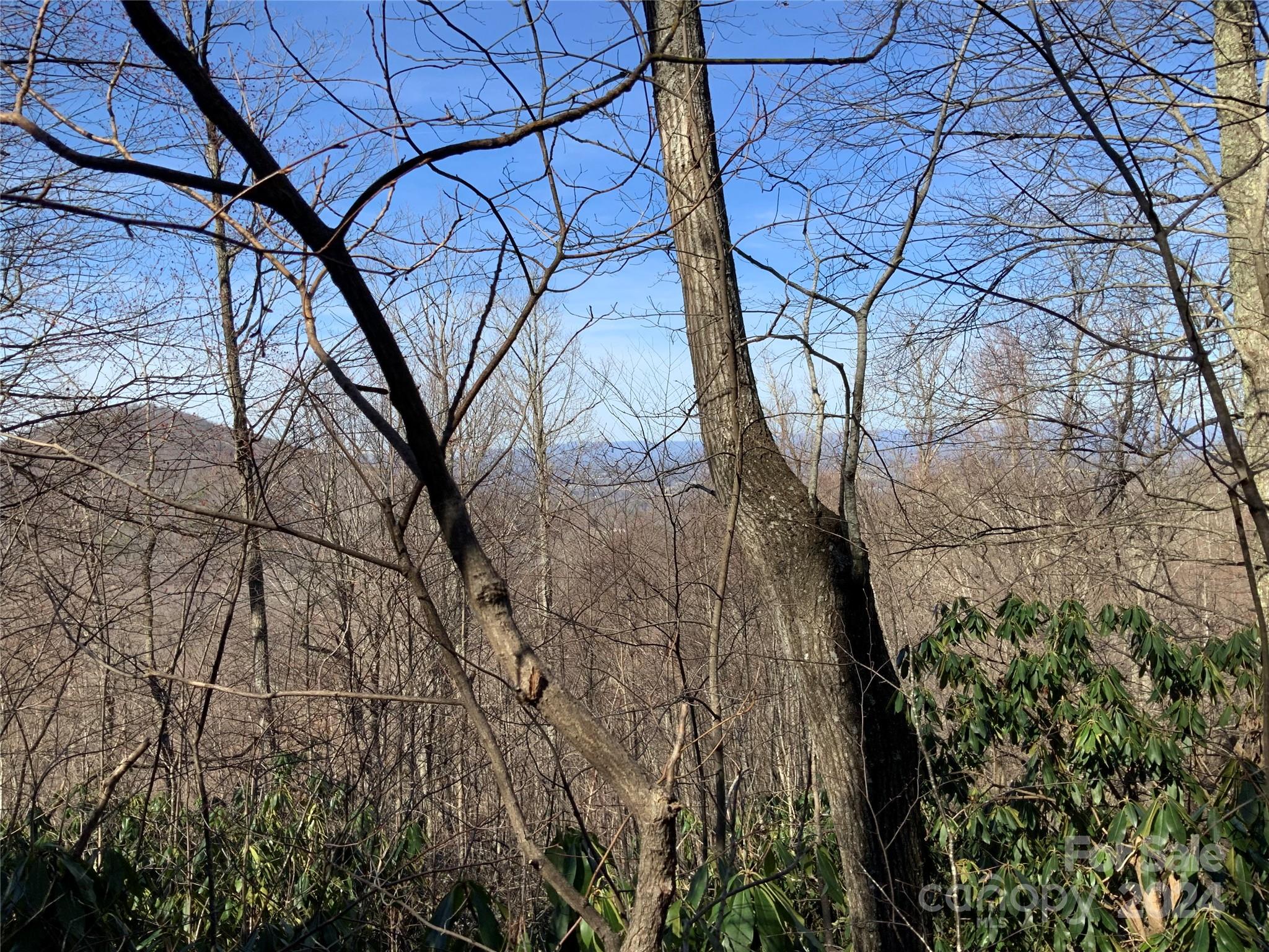 99999 High Top Mountain Road