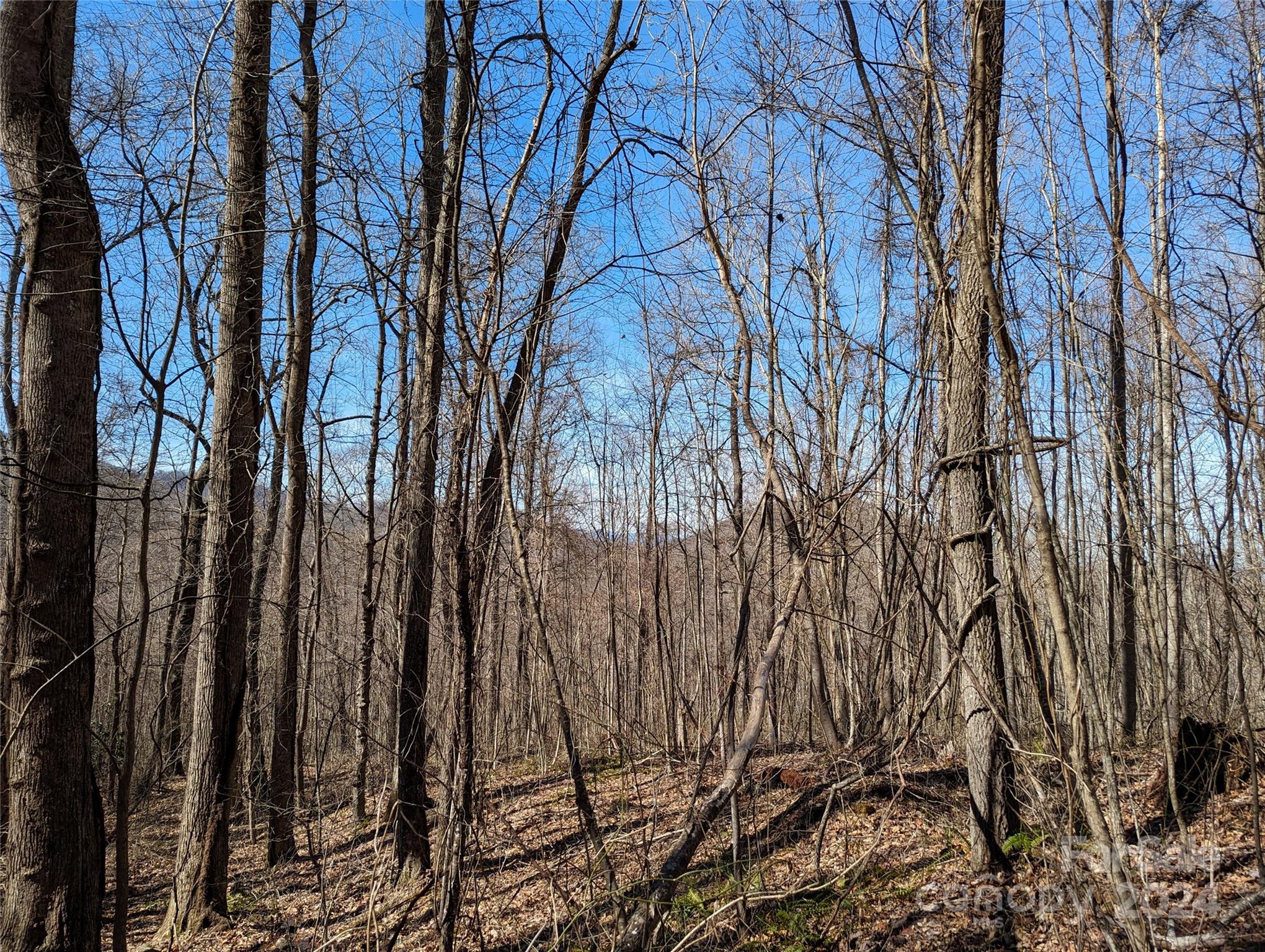 99999 High Top Mountain Road