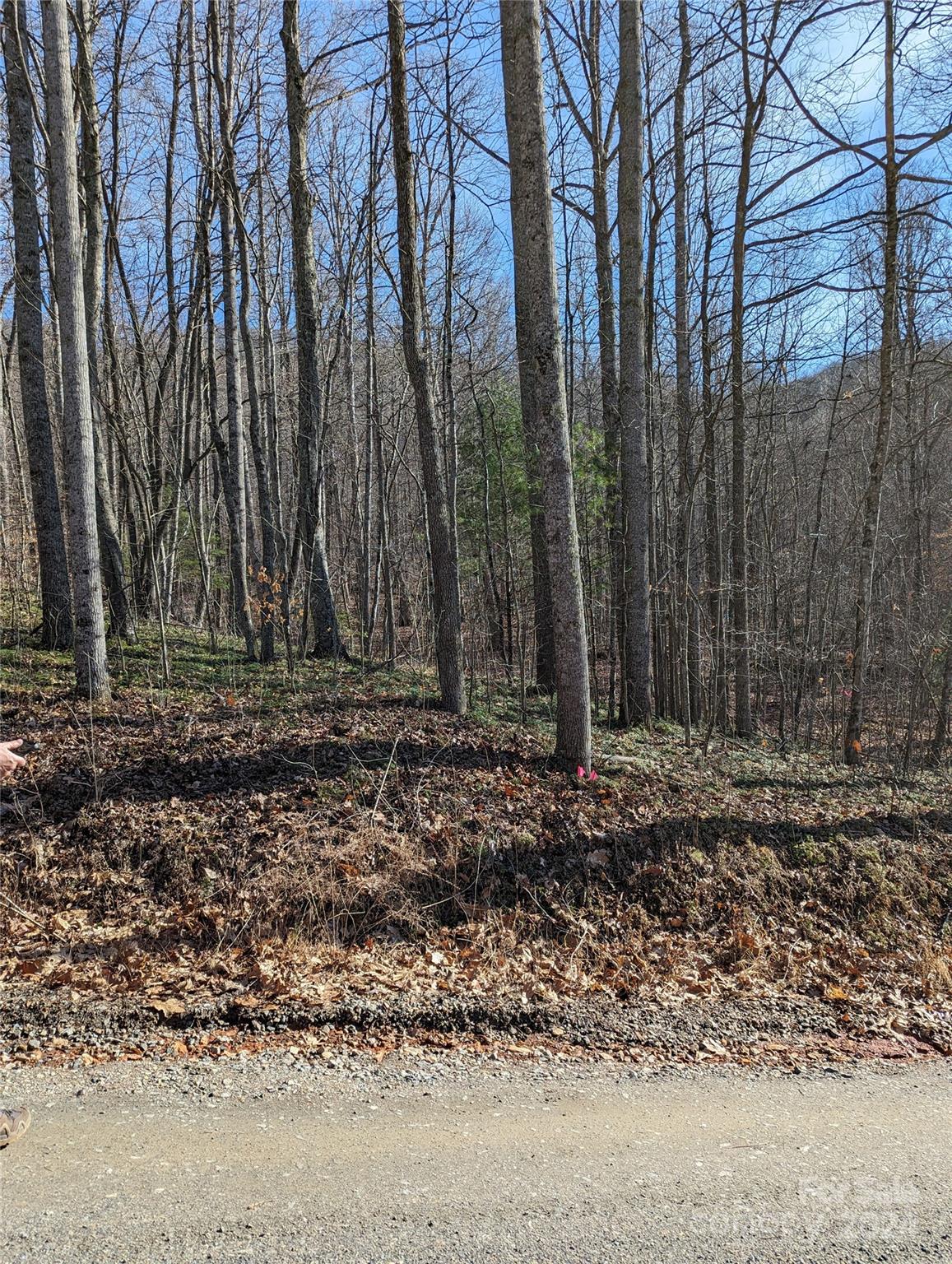 99999 High Top Mountain Road