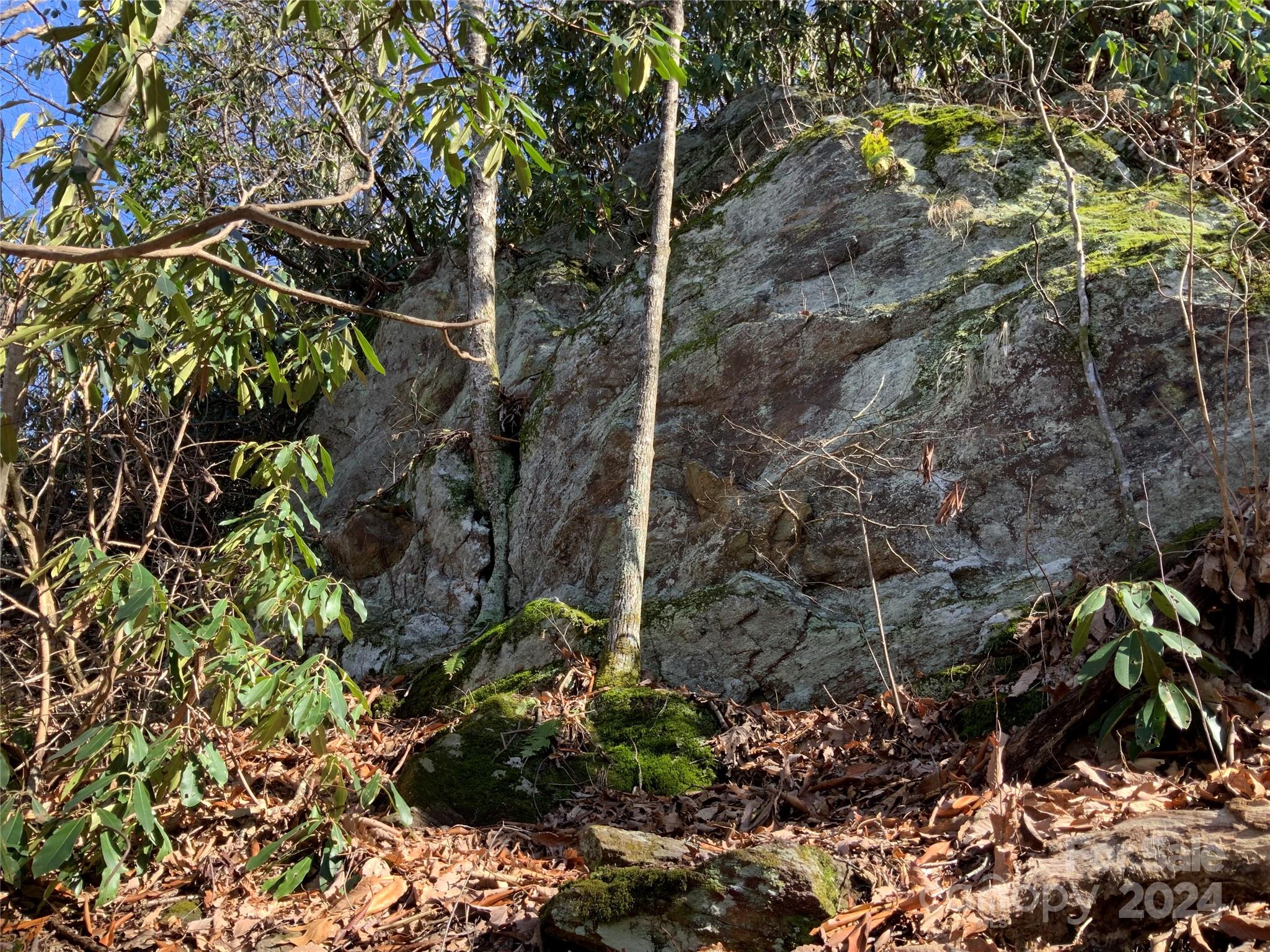 99999 High Top Mountain Road