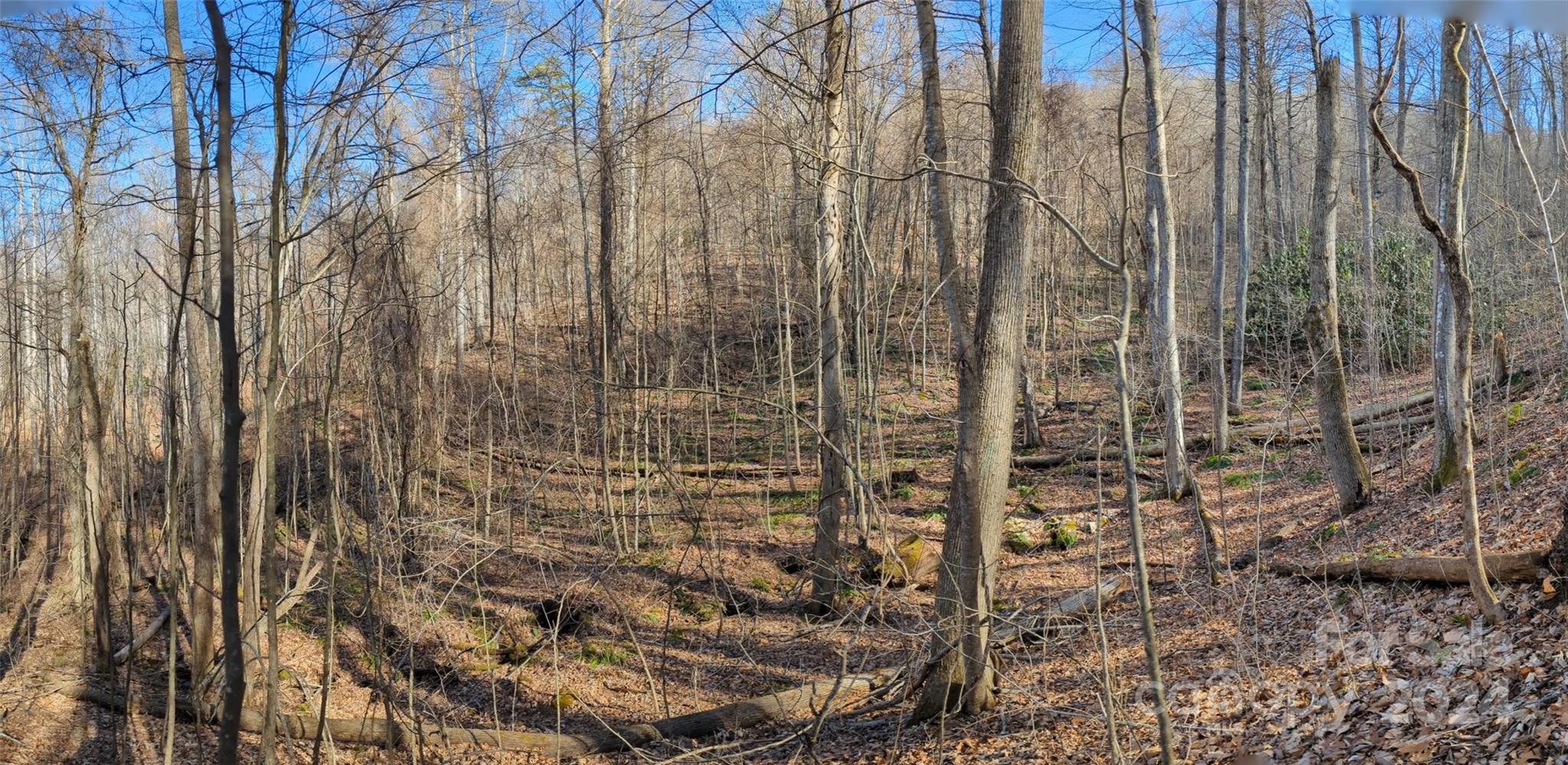 99999 High Top Mountain Road