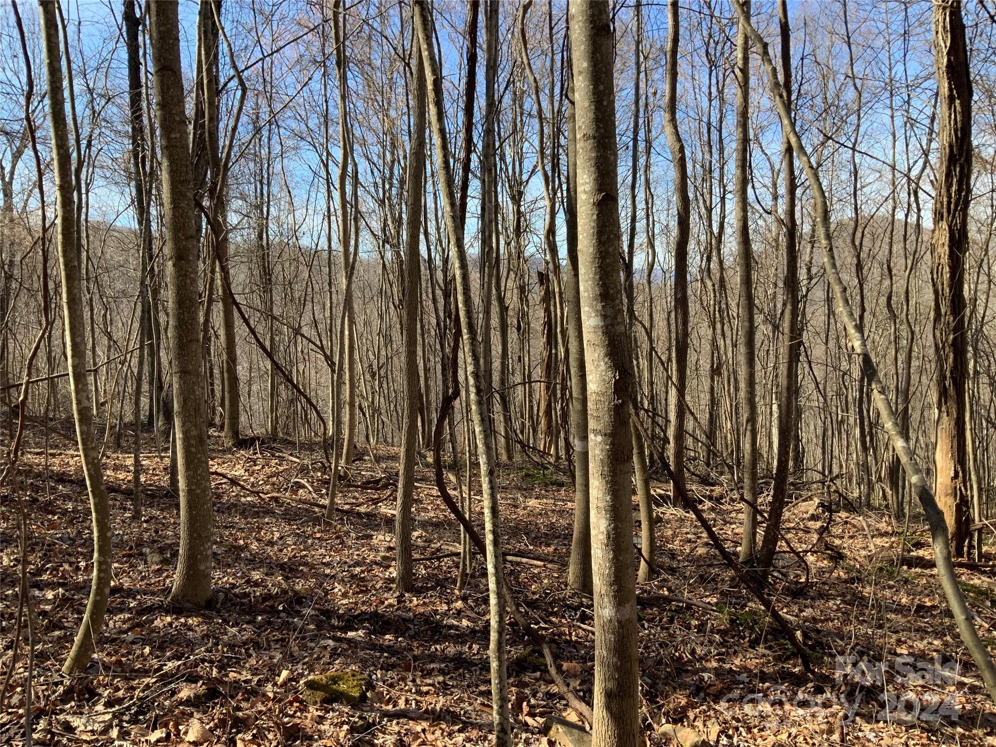 99999 High Top Mountain Road