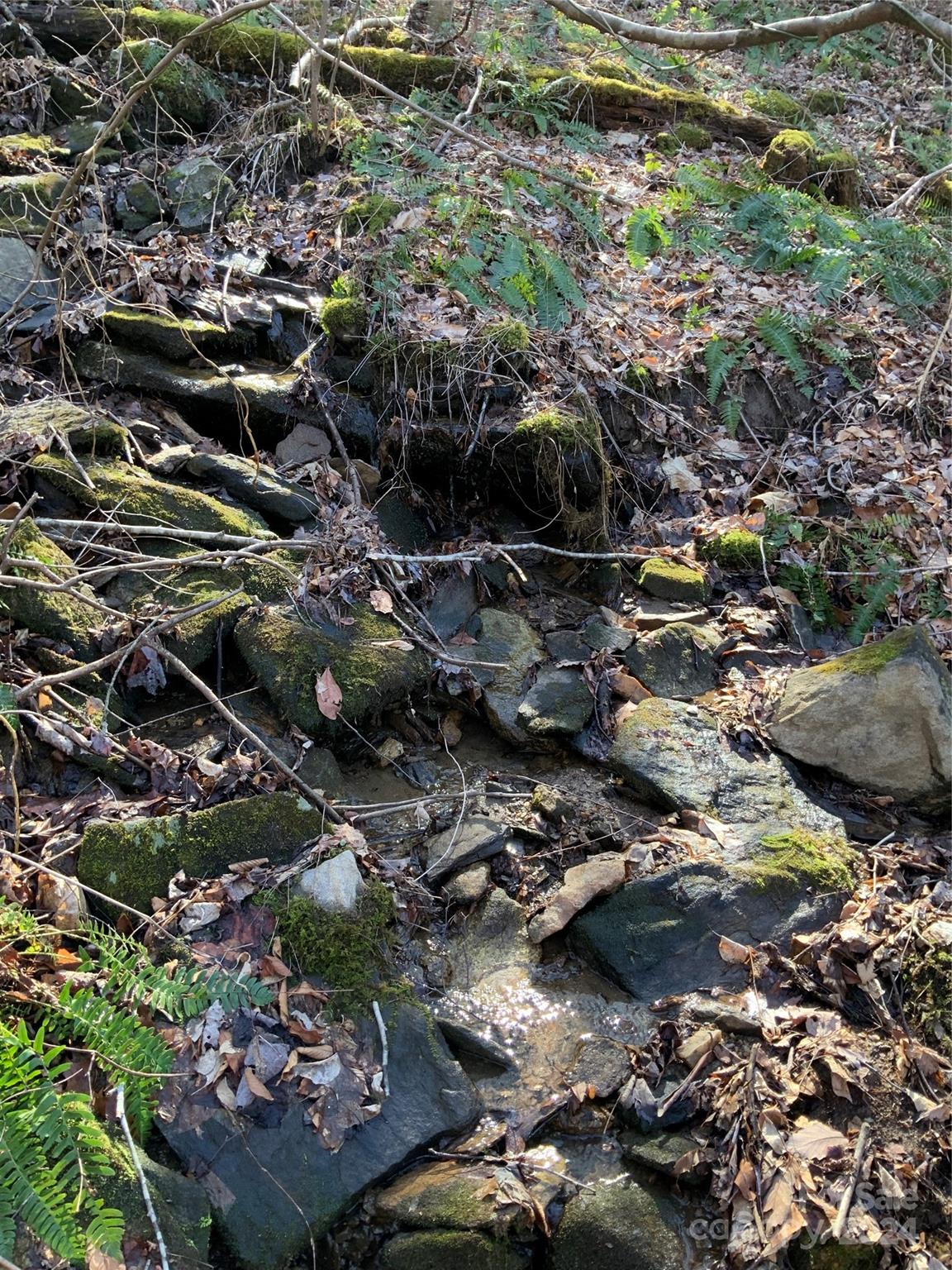 99999 High Top Mountain Road