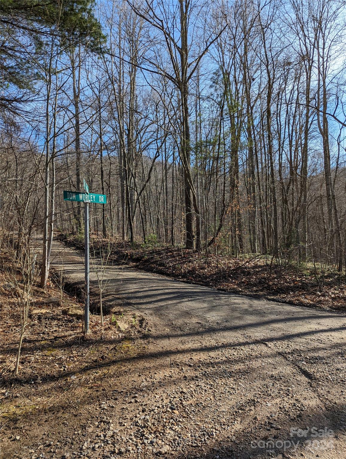 99999 High Top Mountain Road