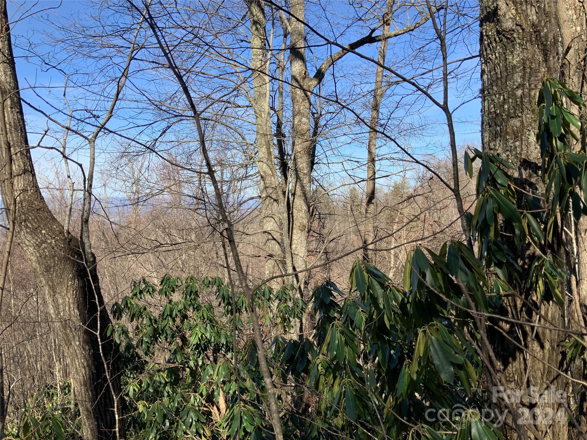 99999 High Top Mountain Road