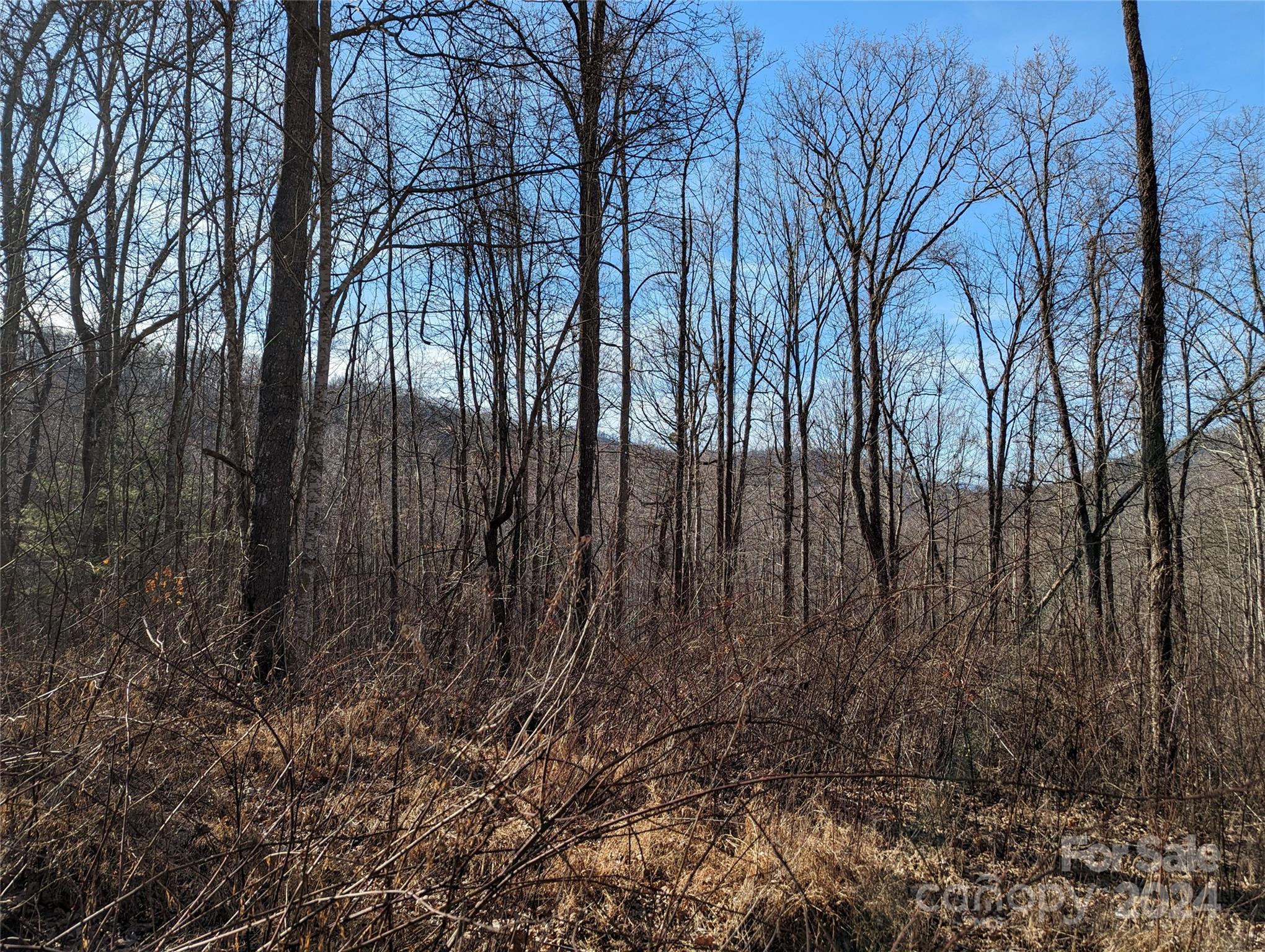 99999 High Top Mountain Road