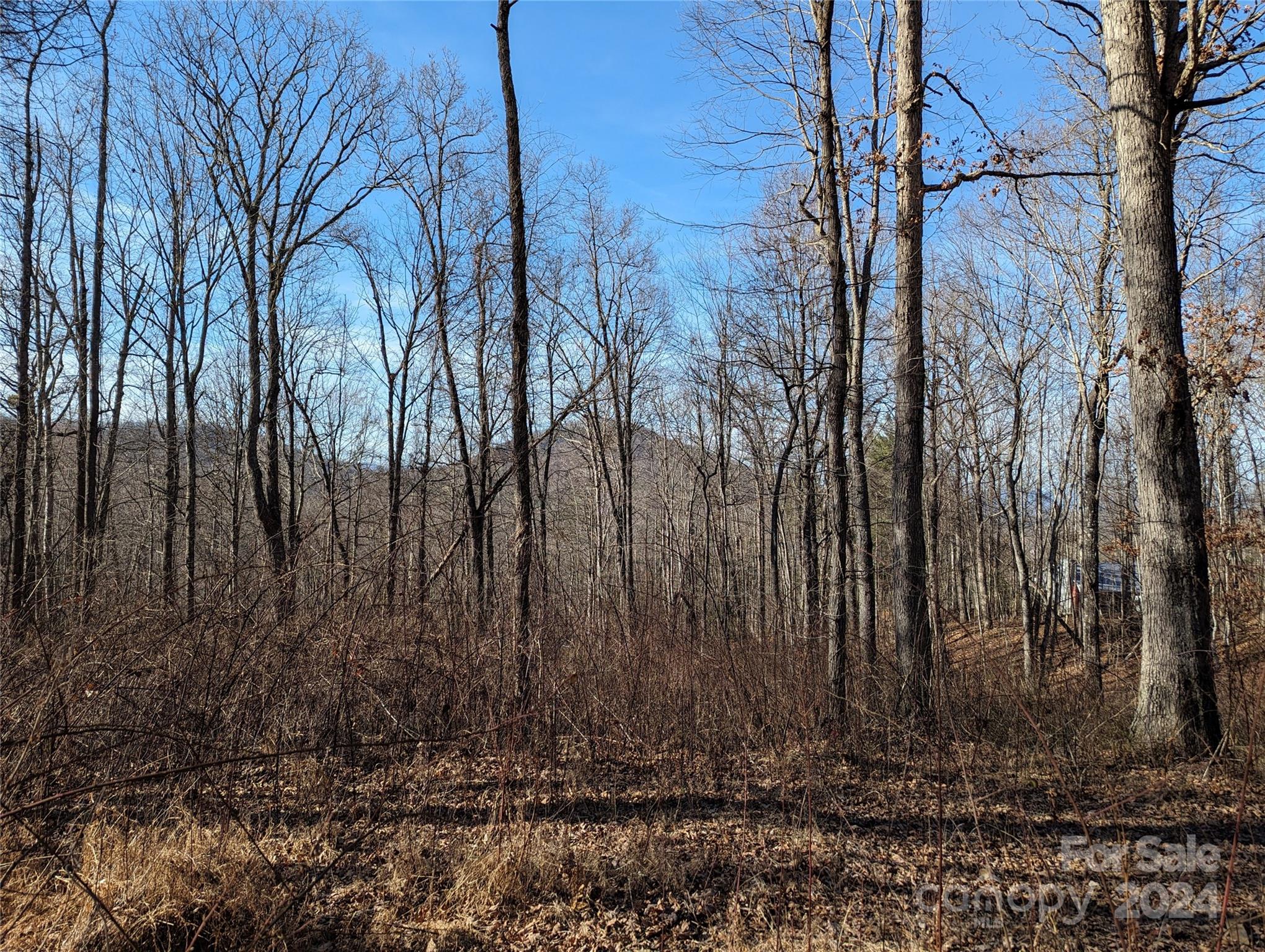 99999 High Top Mountain Road