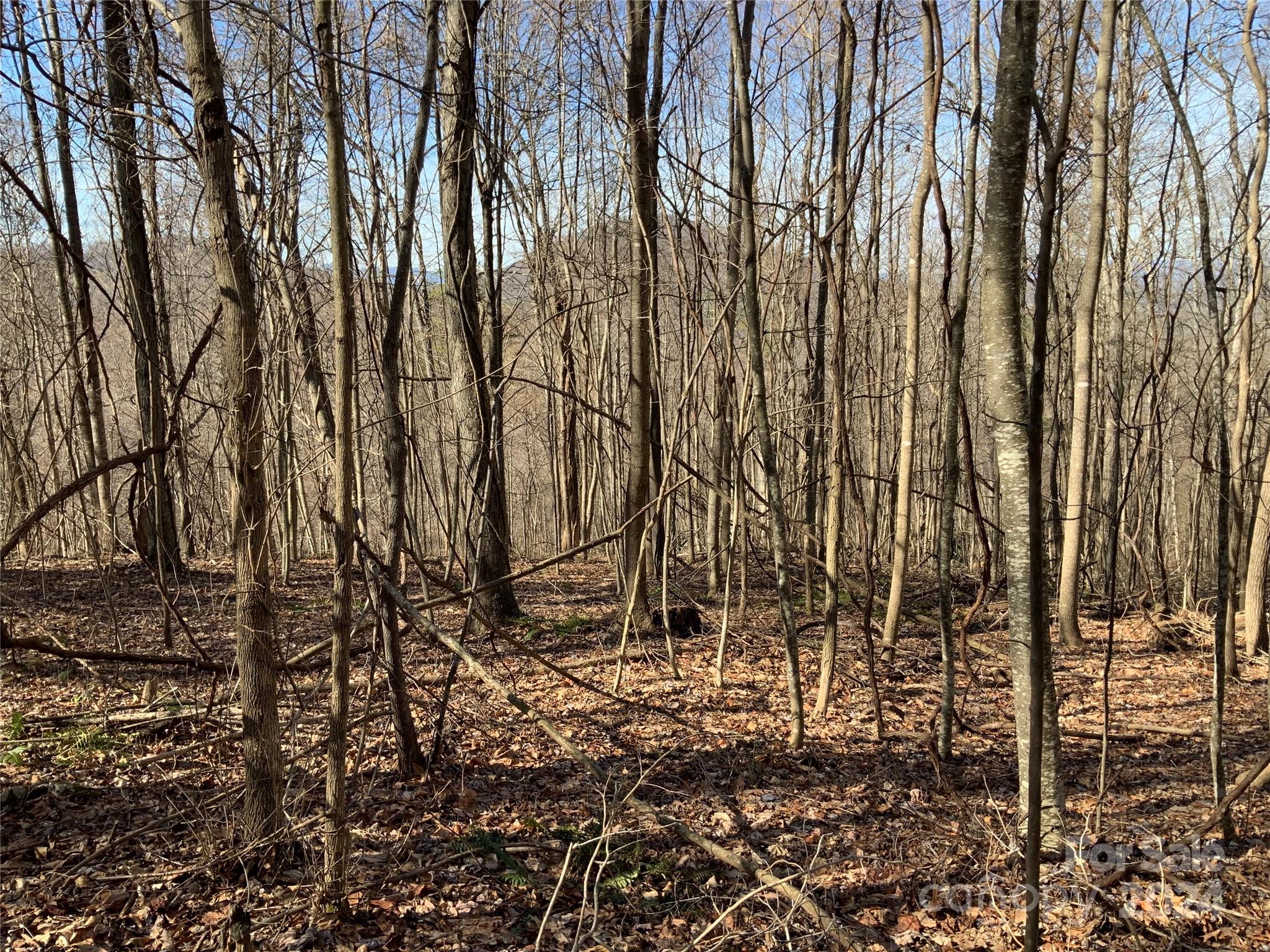 99999 High Top Mountain Road