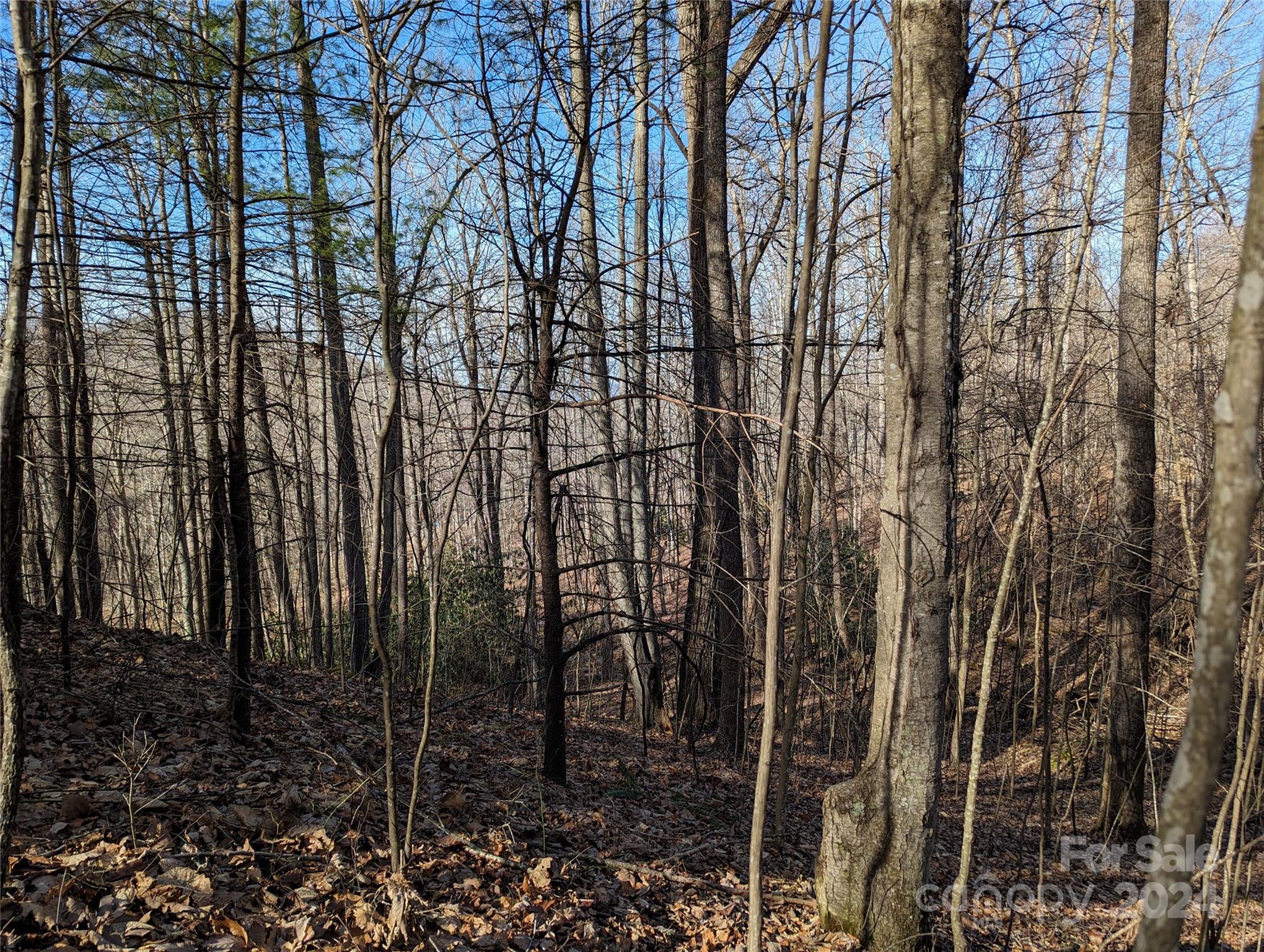 99999 High Top Mountain Road