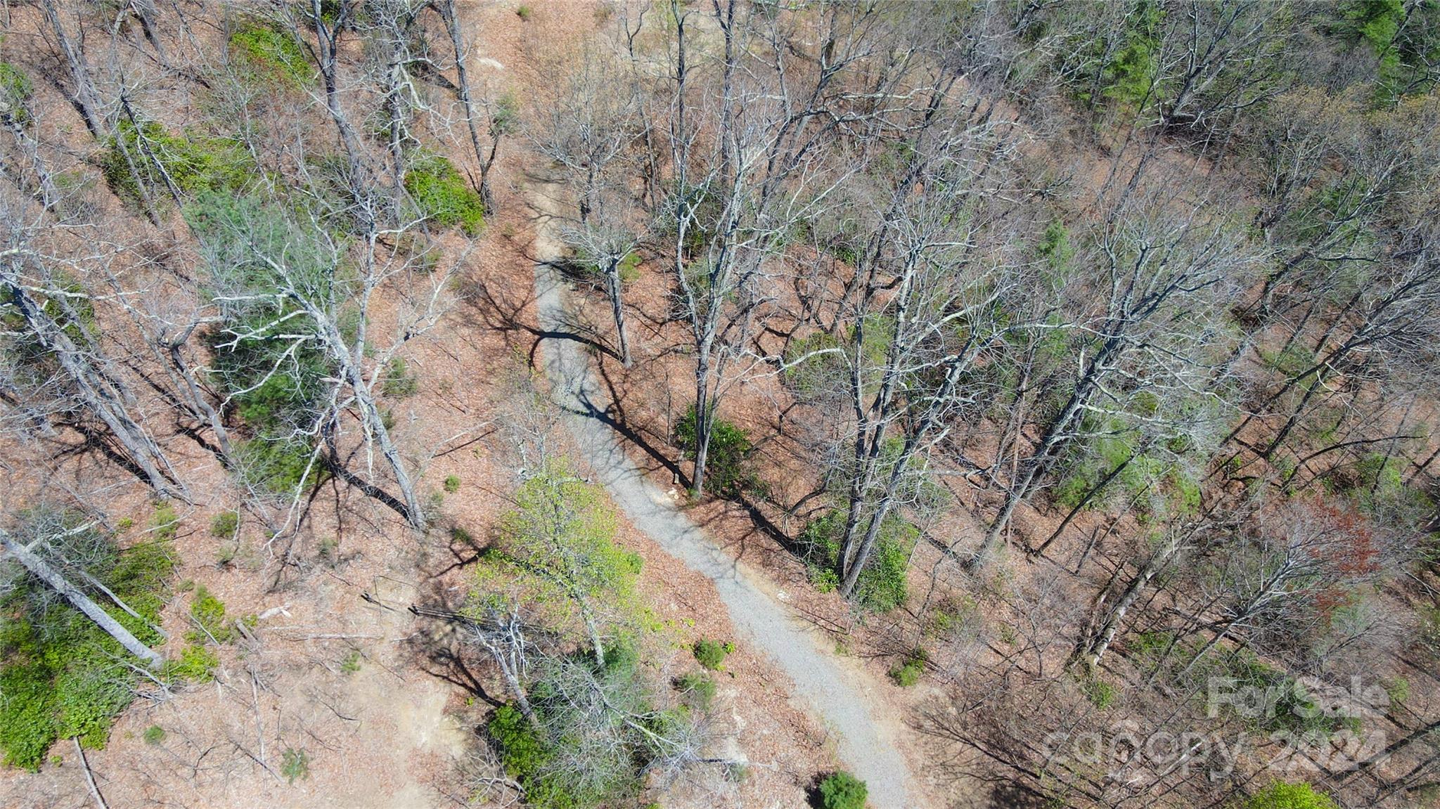 99999 Old Chestnut Lane Unit: 6 & 7