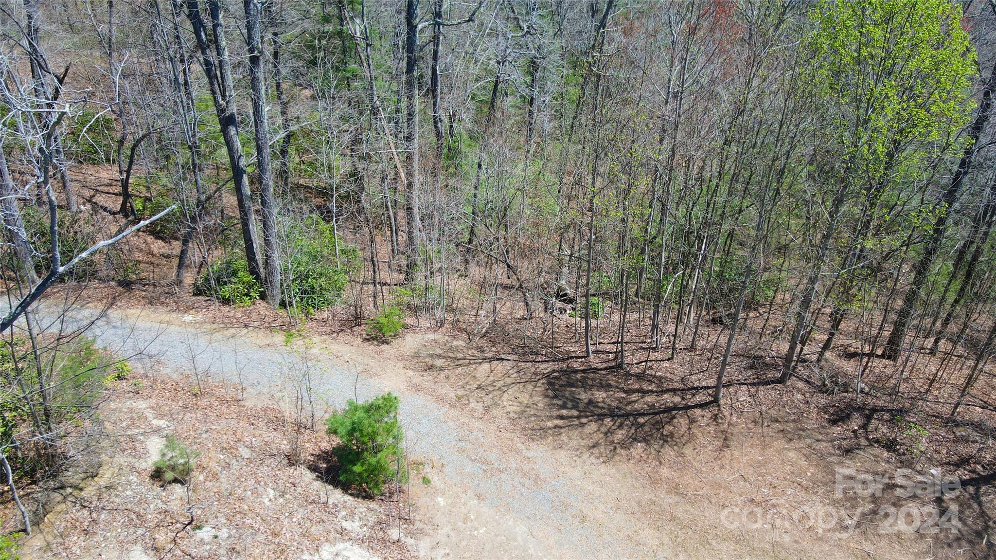 99999 Old Chestnut Lane Unit: 6 & 7