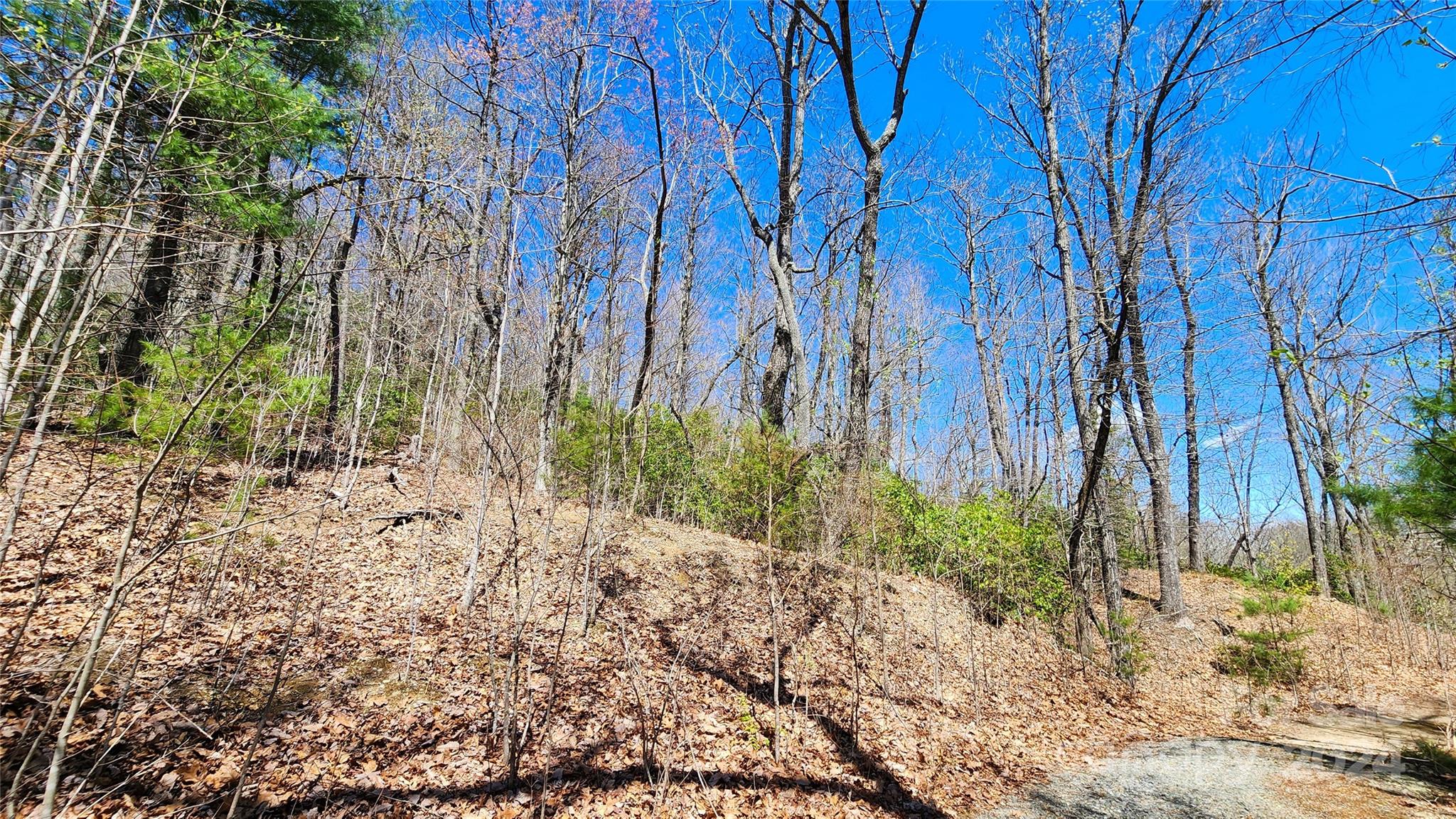 99999 Old Chestnut Lane Unit: 6 & 7