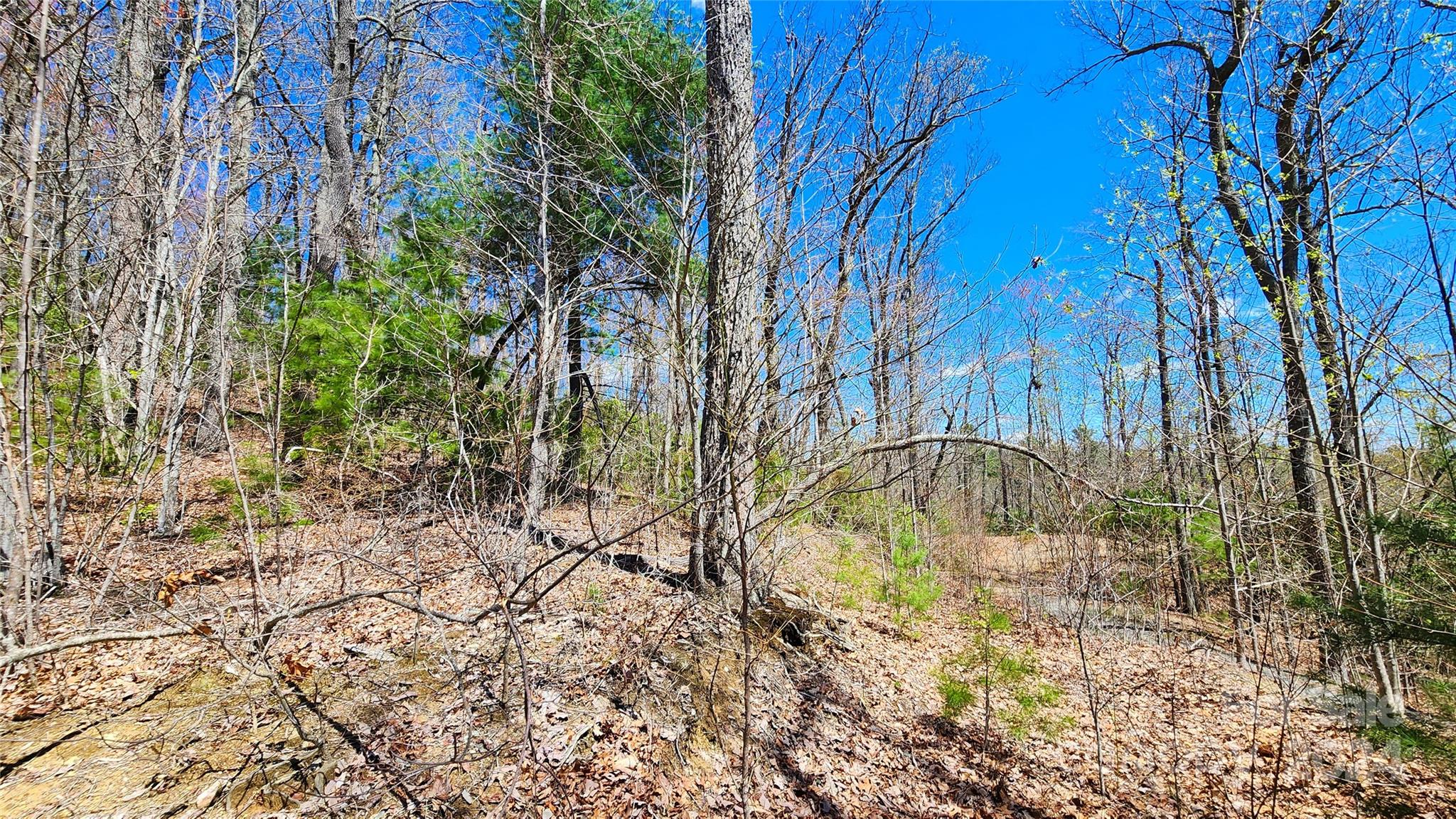 99999 Old Chestnut Lane Unit: 6 & 7