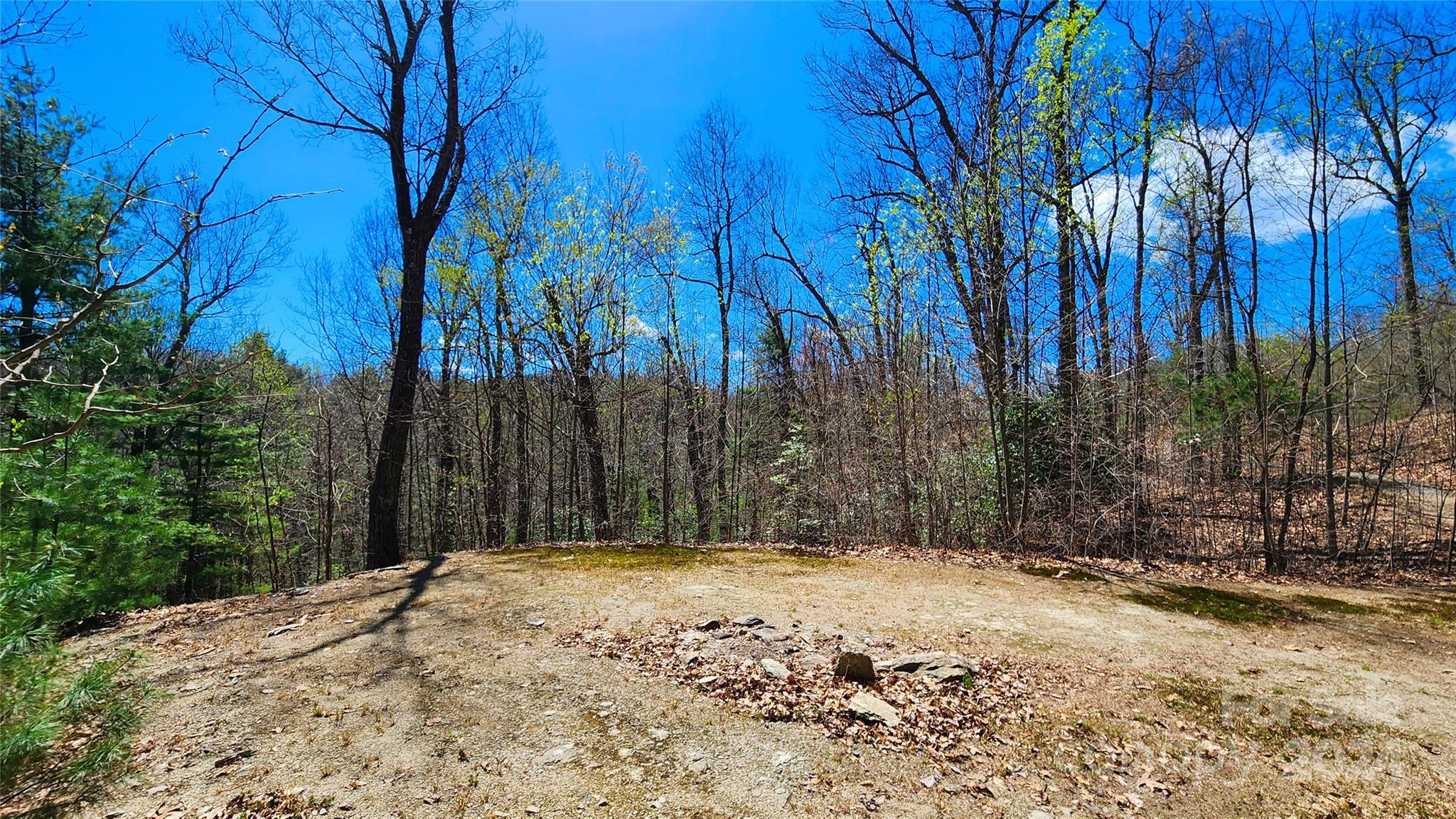 99999 Old Chestnut Lane Unit: 6 & 7