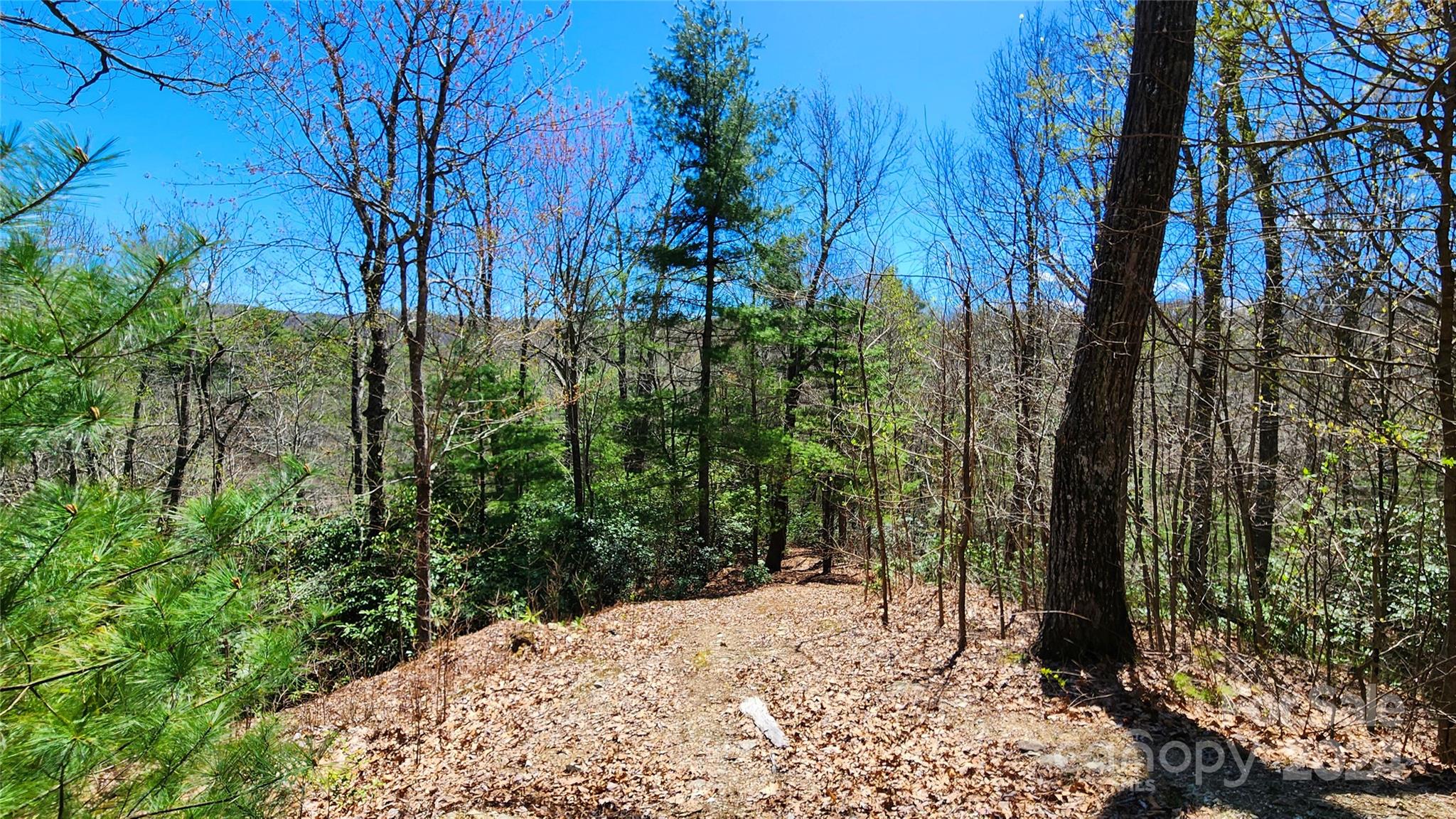 99999 Old Chestnut Lane Unit: 6 & 7