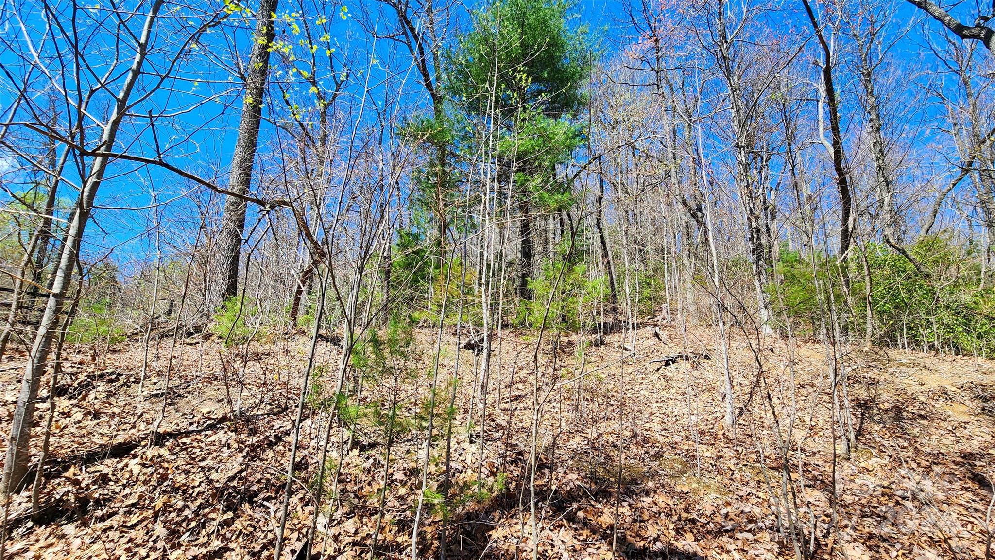 99999 Old Chestnut Lane Unit: 6 & 7