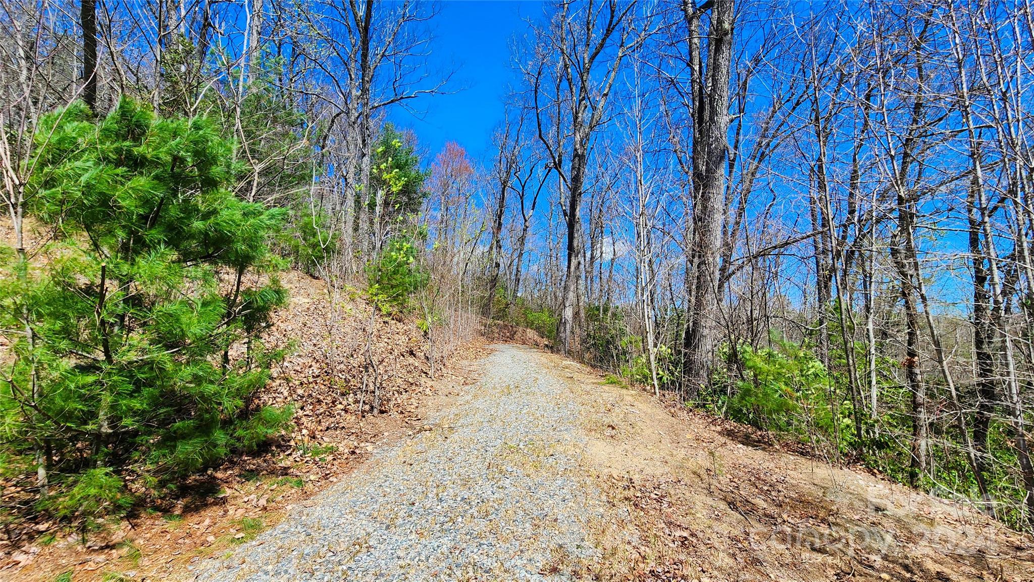 99999 Old Chestnut Lane Unit: 6 & 7