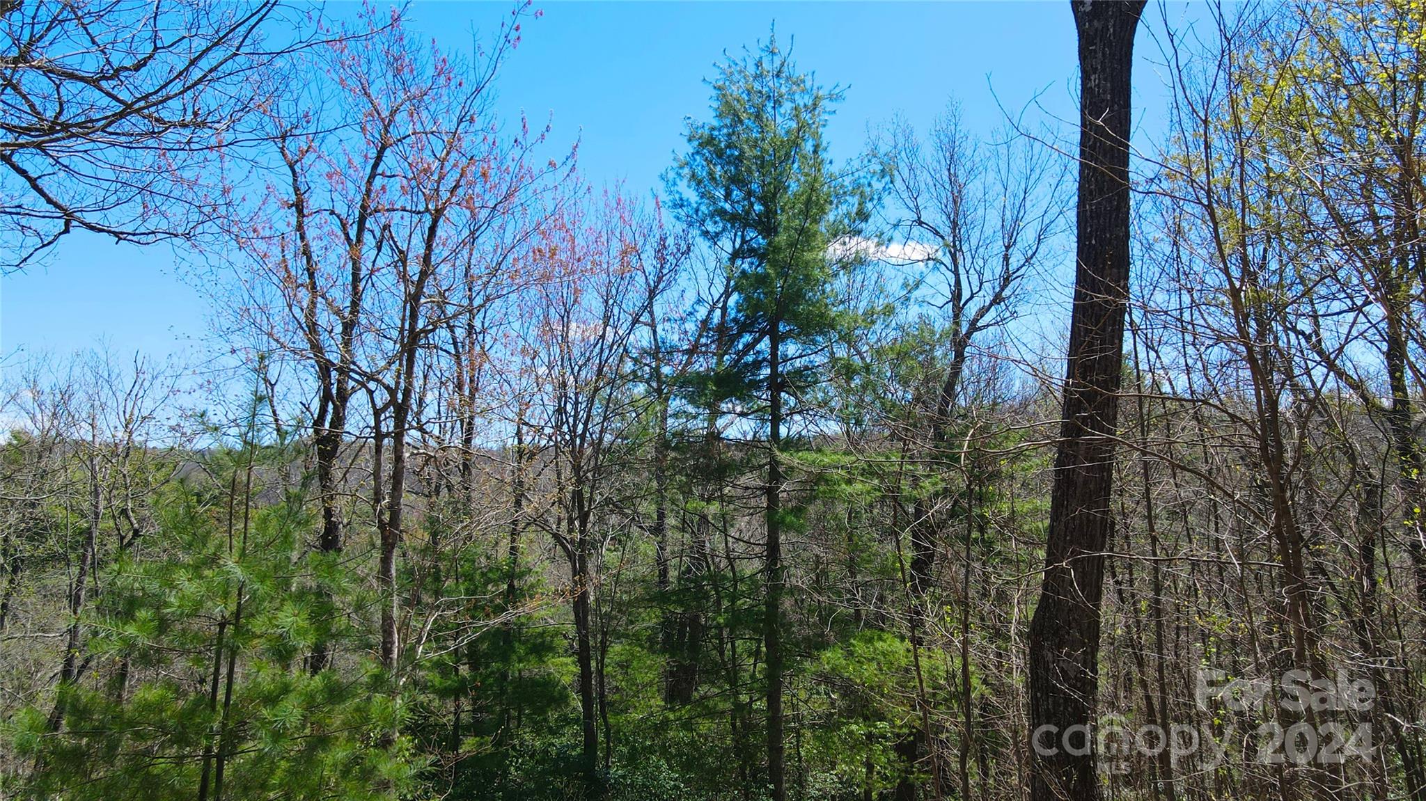 99999 Old Chestnut Lane Unit: 6 & 7