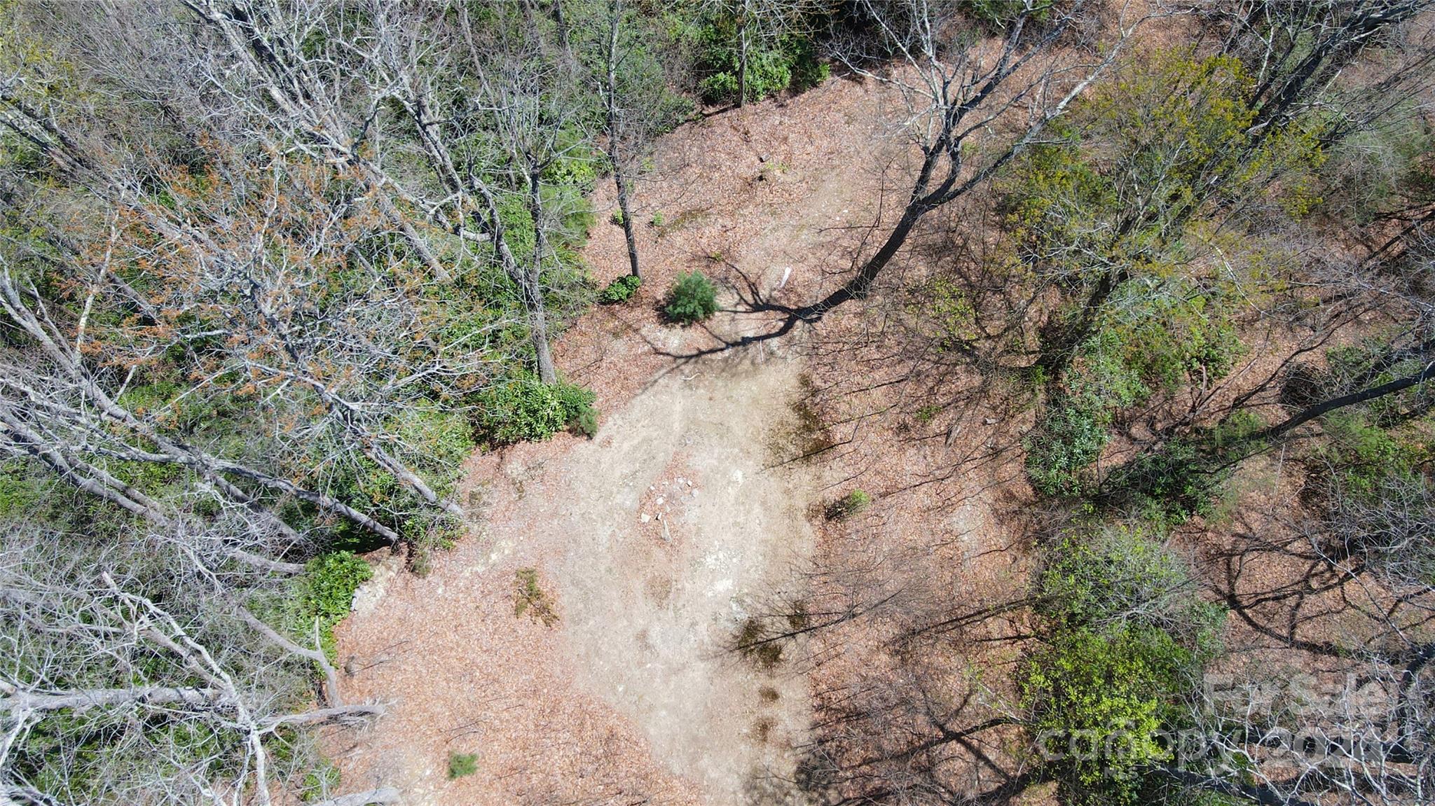 99999 Old Chestnut Lane Unit: 6 & 7