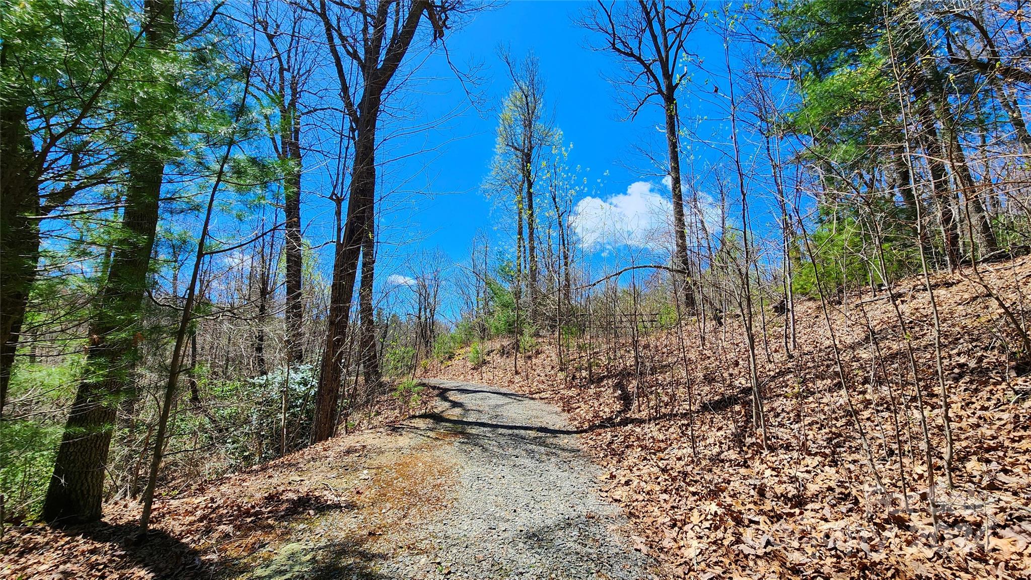 99999 Old Chestnut Lane Unit: 6 & 7