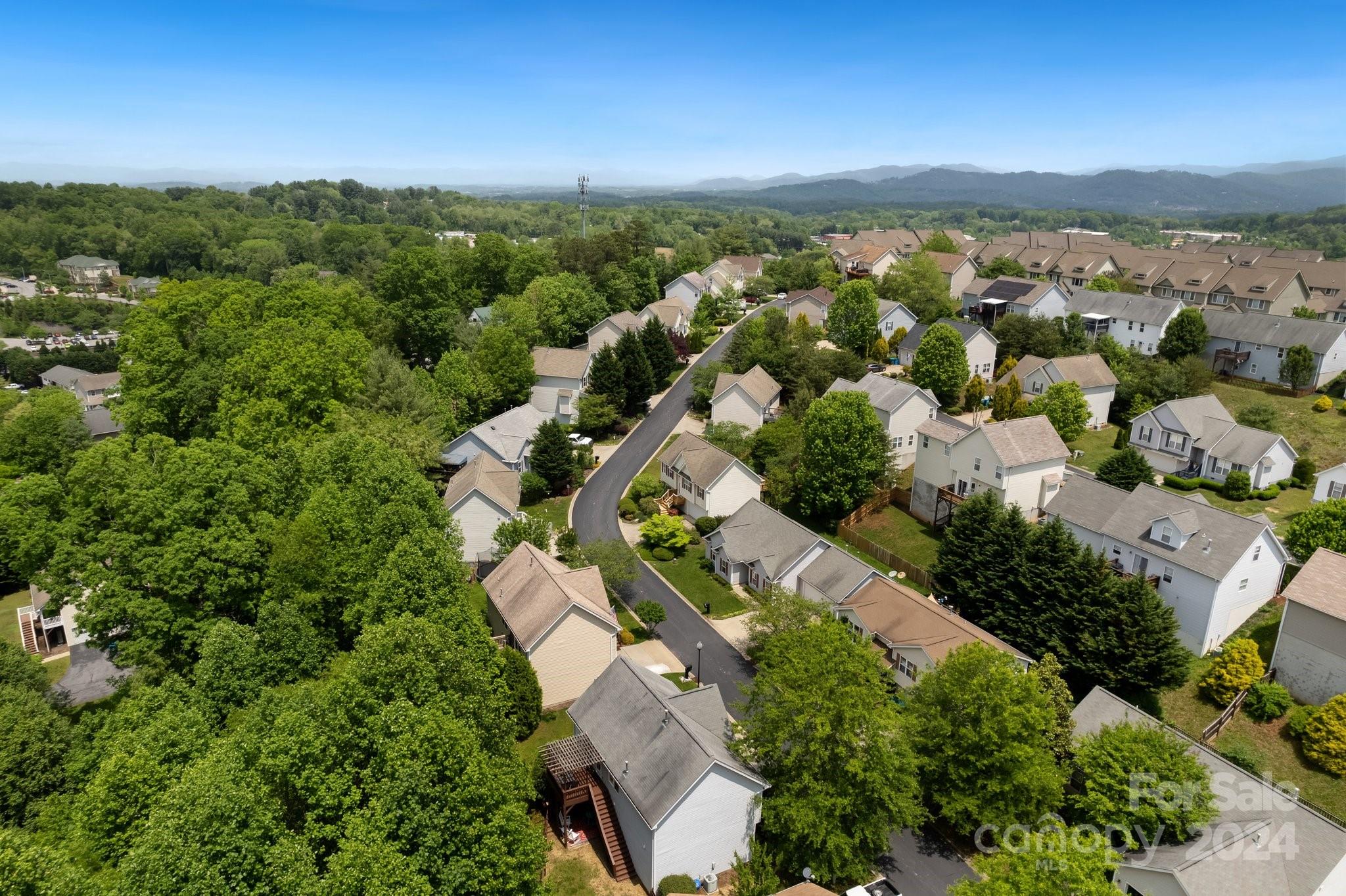 117 Paper Birch Avenue