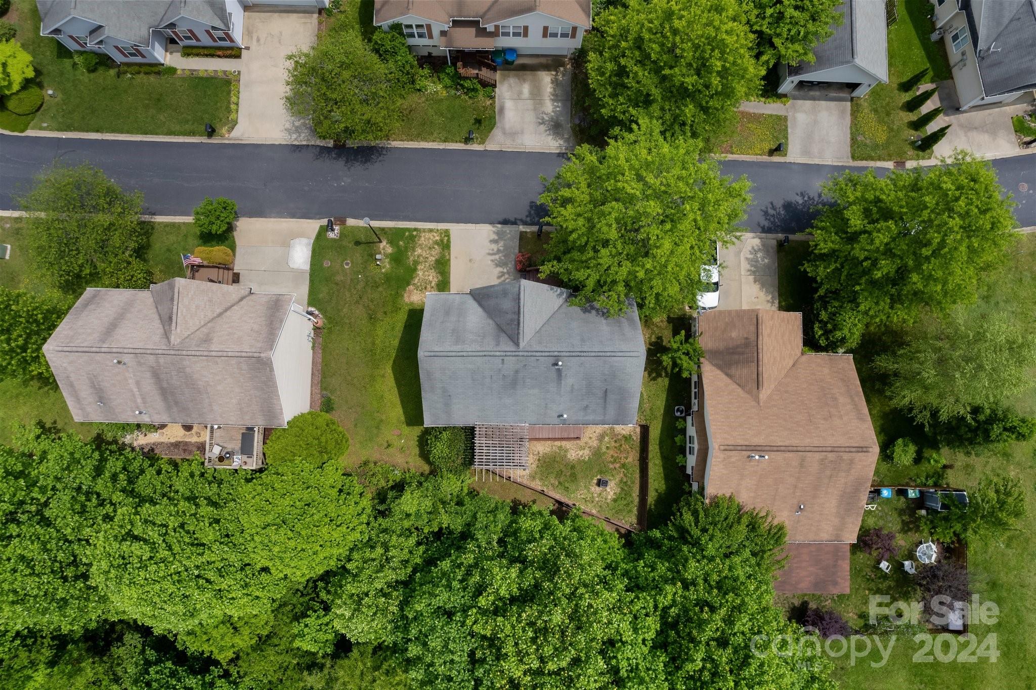 117 Paper Birch Avenue