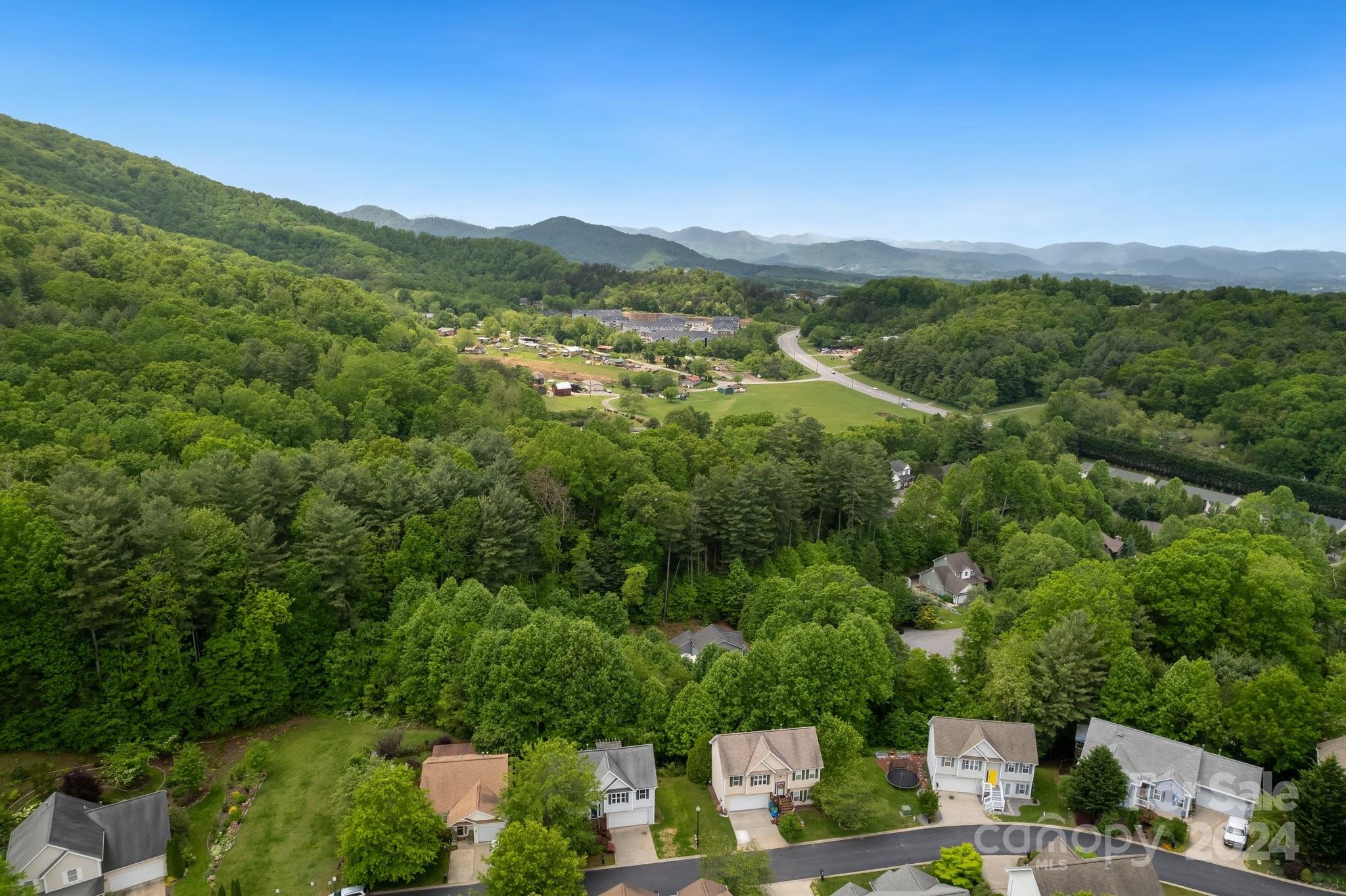 117 Paper Birch Avenue