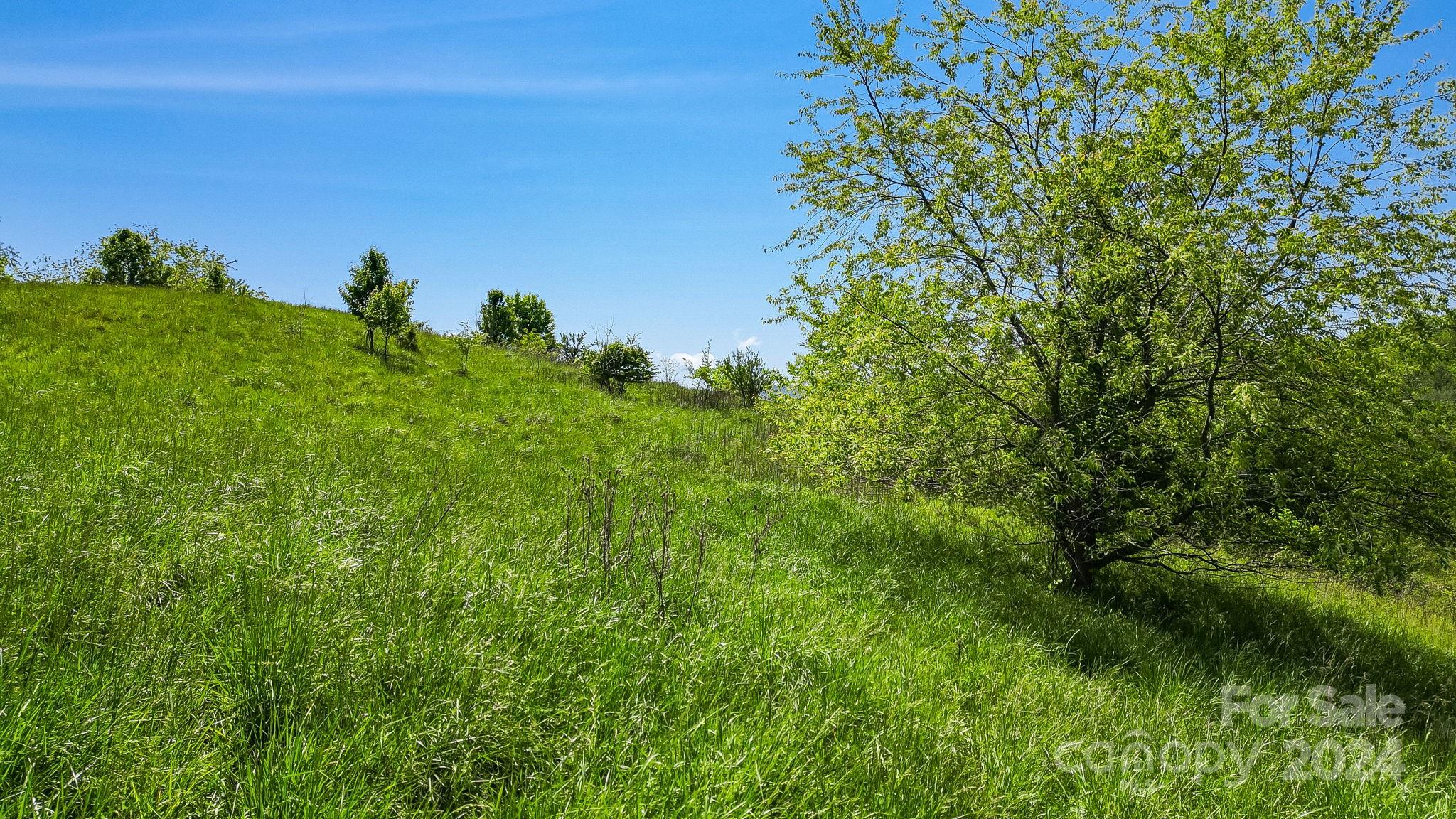 0000 Johnny Roberts Road