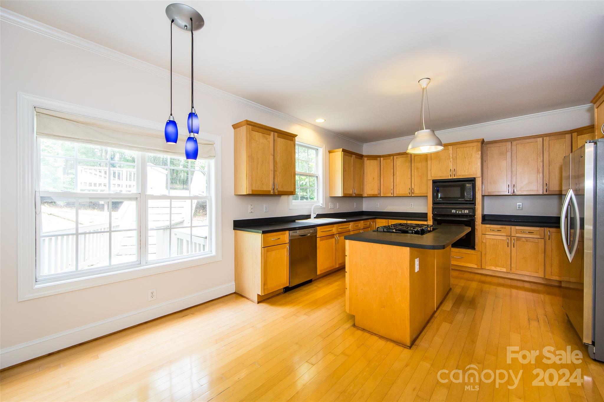 13808 Ballantyne Meadows Drive