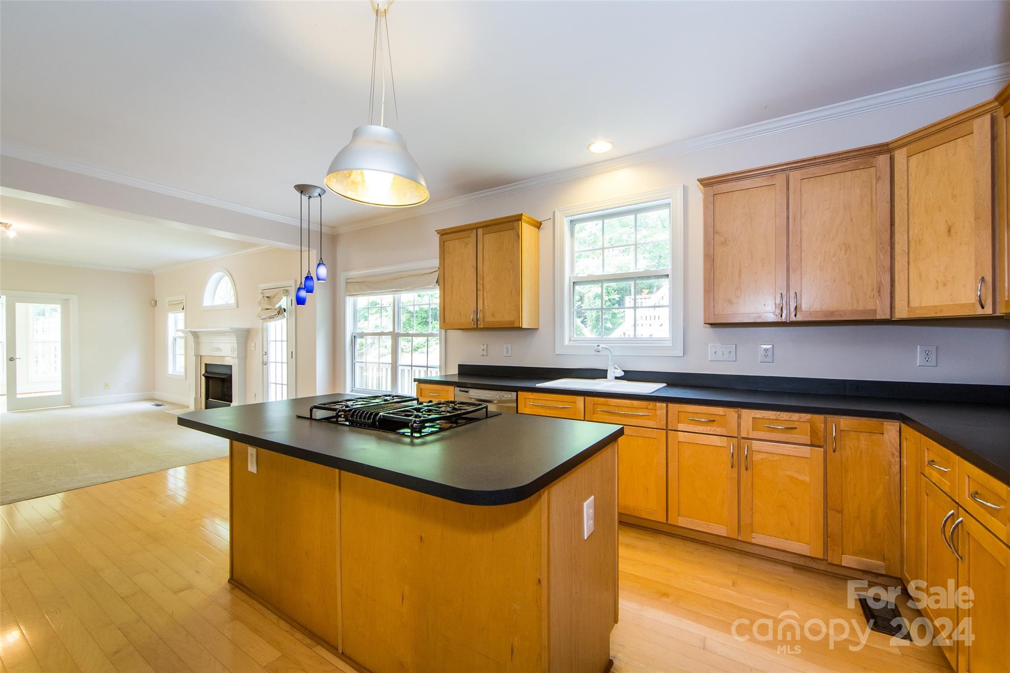 13808 Ballantyne Meadows Drive