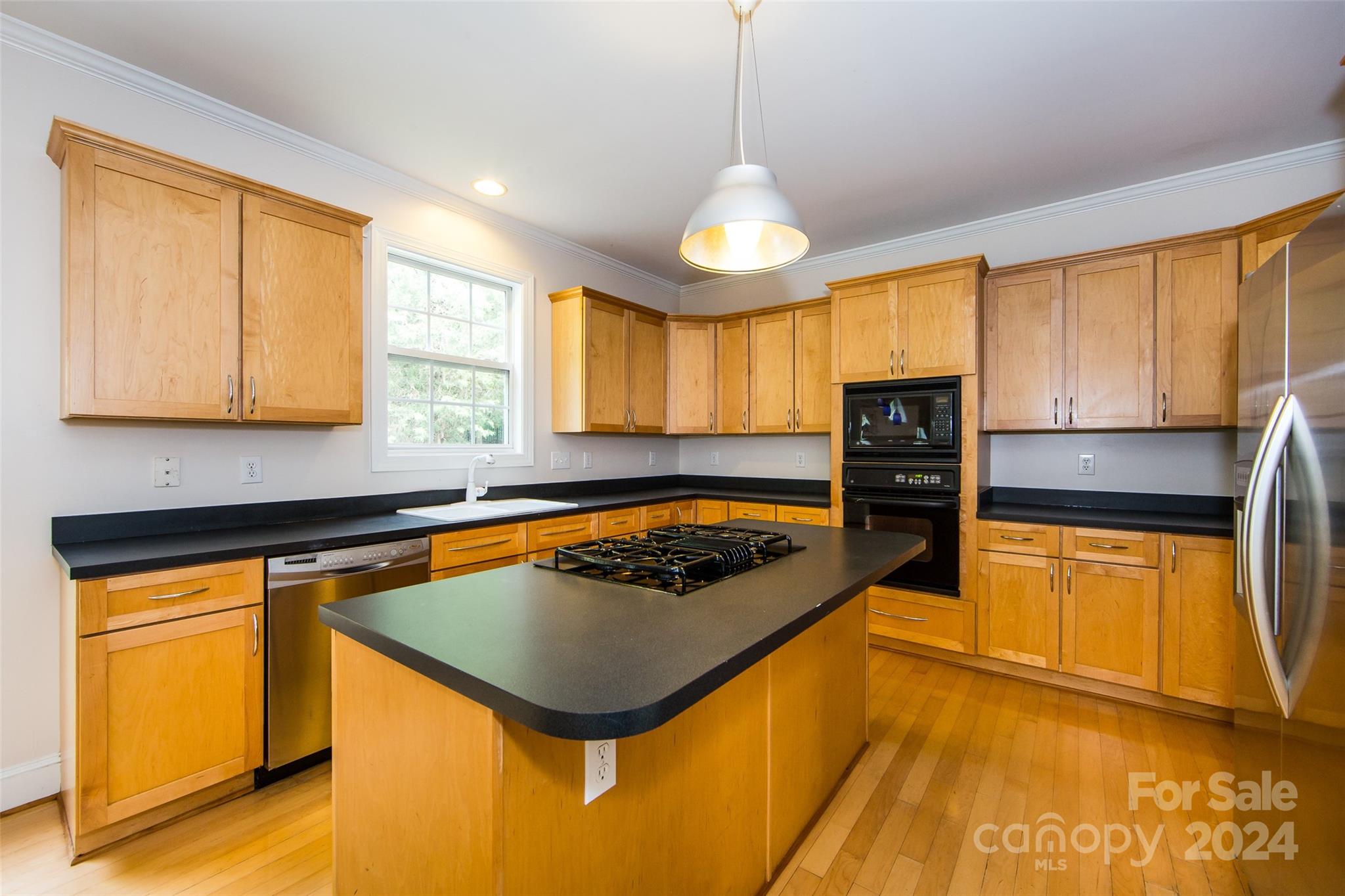 13808 Ballantyne Meadows Drive