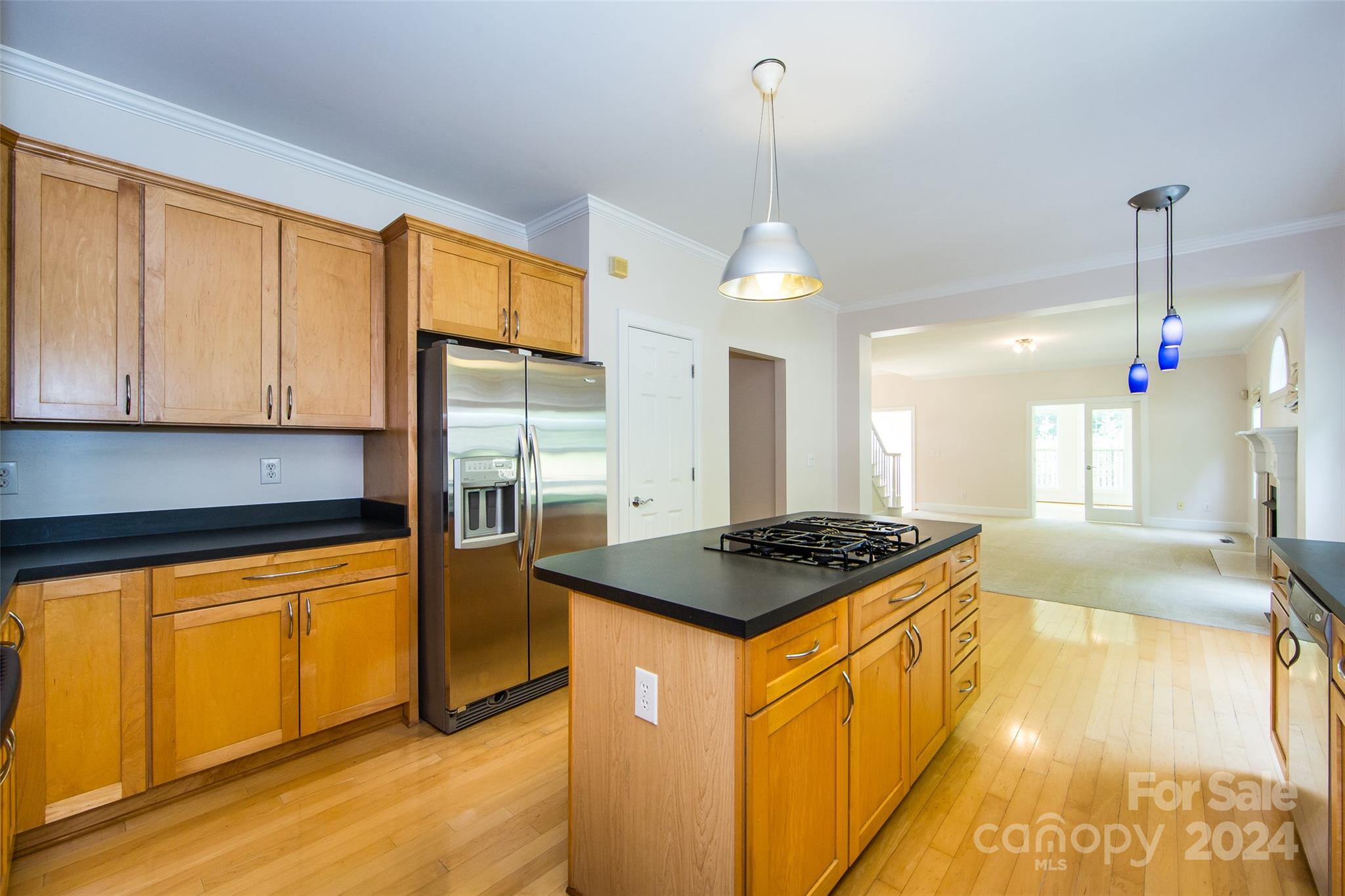 13808 Ballantyne Meadows Drive