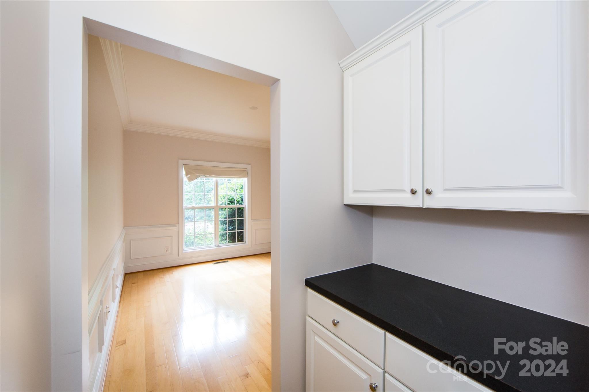 13808 Ballantyne Meadows Drive