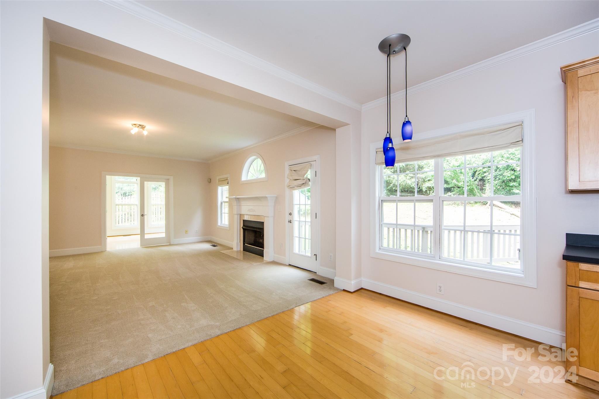 13808 Ballantyne Meadows Drive