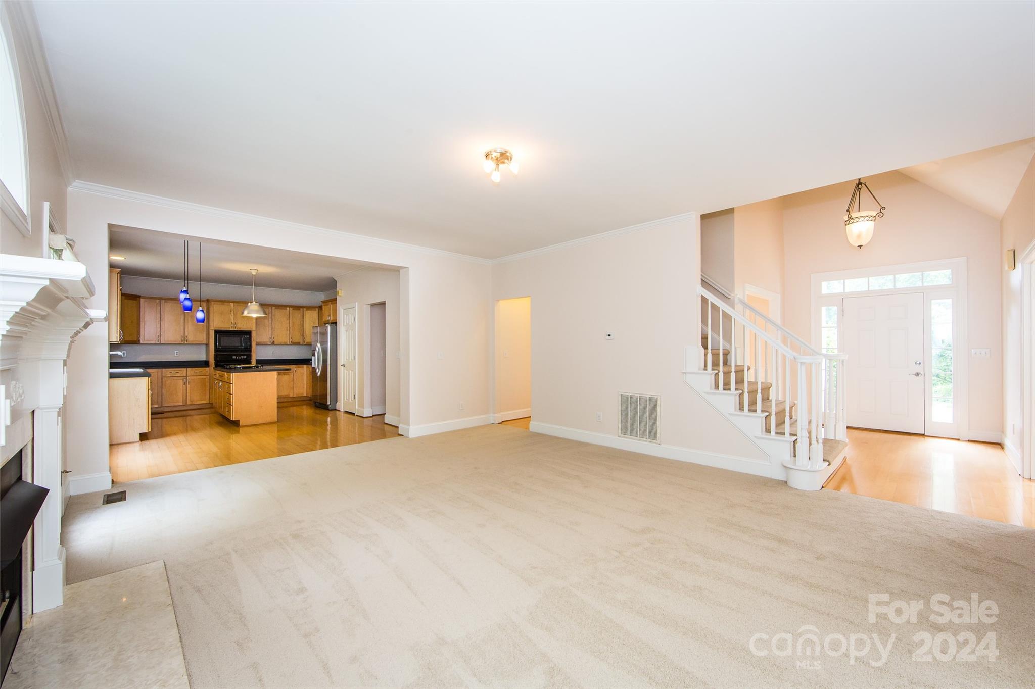 13808 Ballantyne Meadows Drive